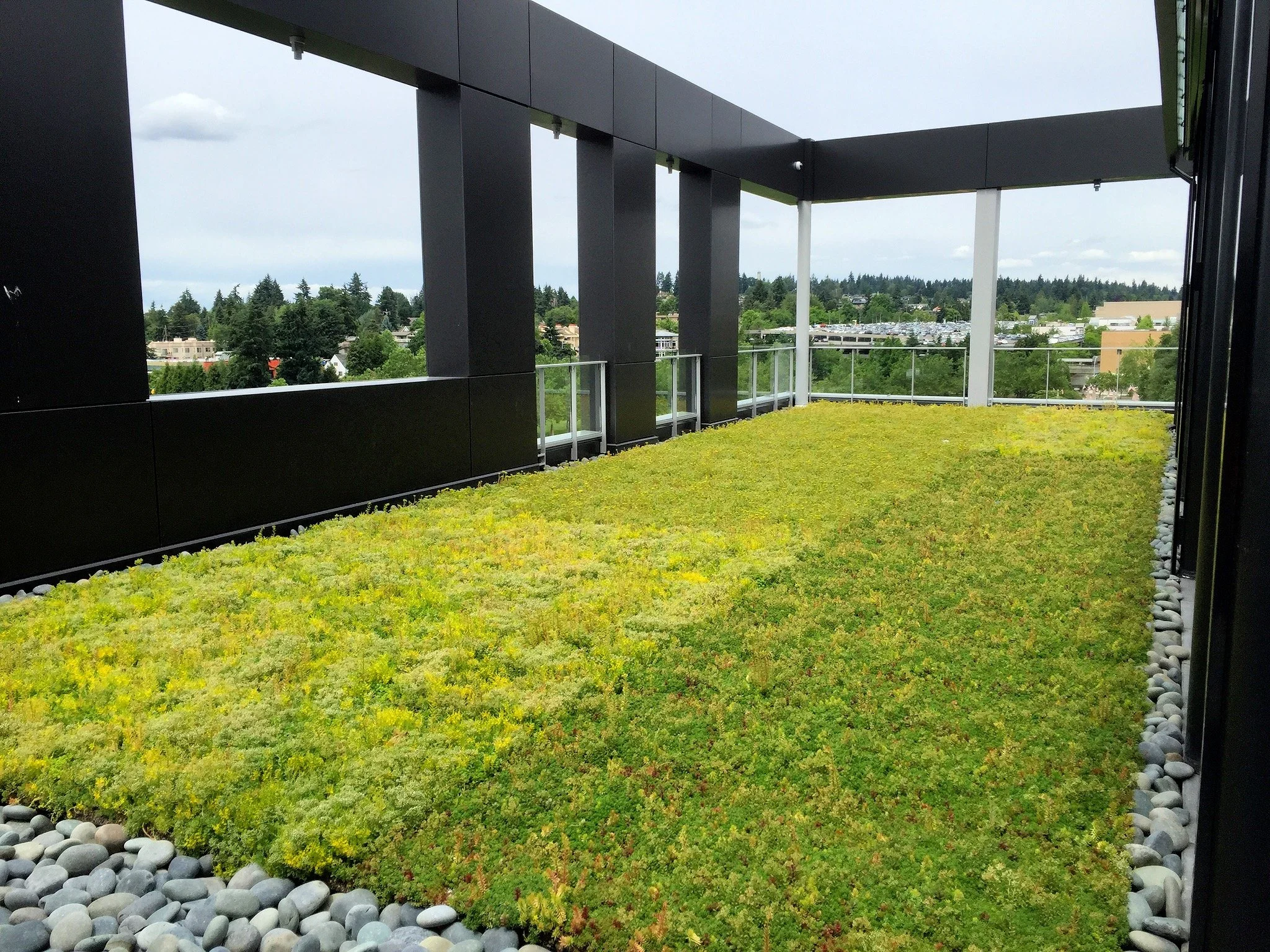 Photo Jun 09, 1 00 27 PM.jpg