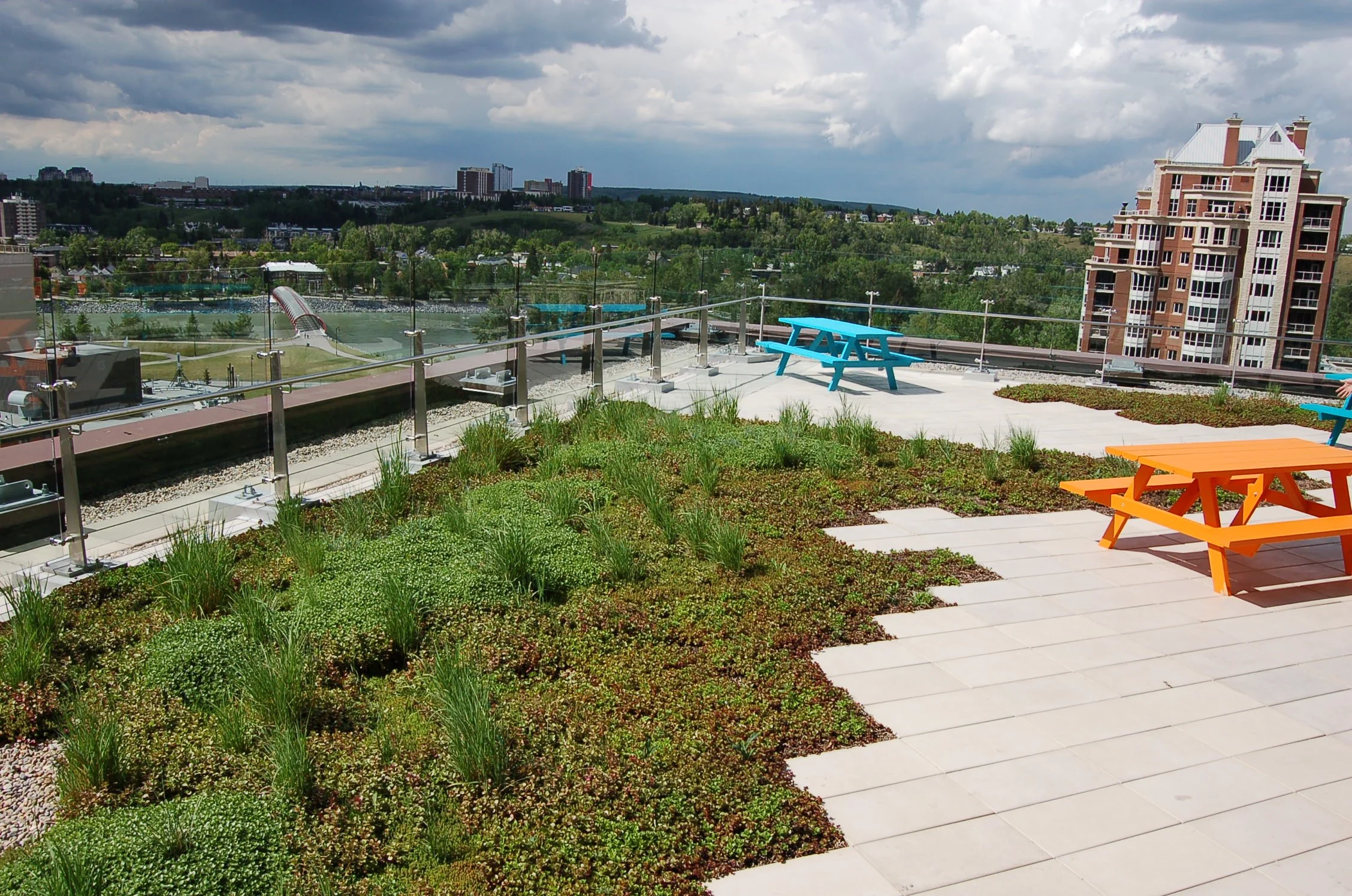 Shaw-Court-green-roof-1.JPG