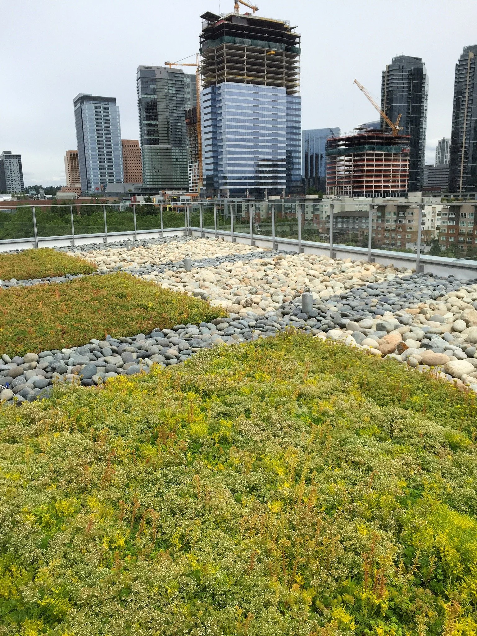 Photo Jun 09, 12 56 23 PM.jpg