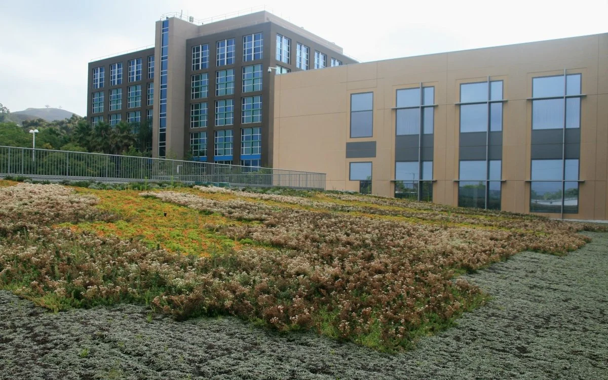 VCMC-Hospital-green-roof-2.jpeg