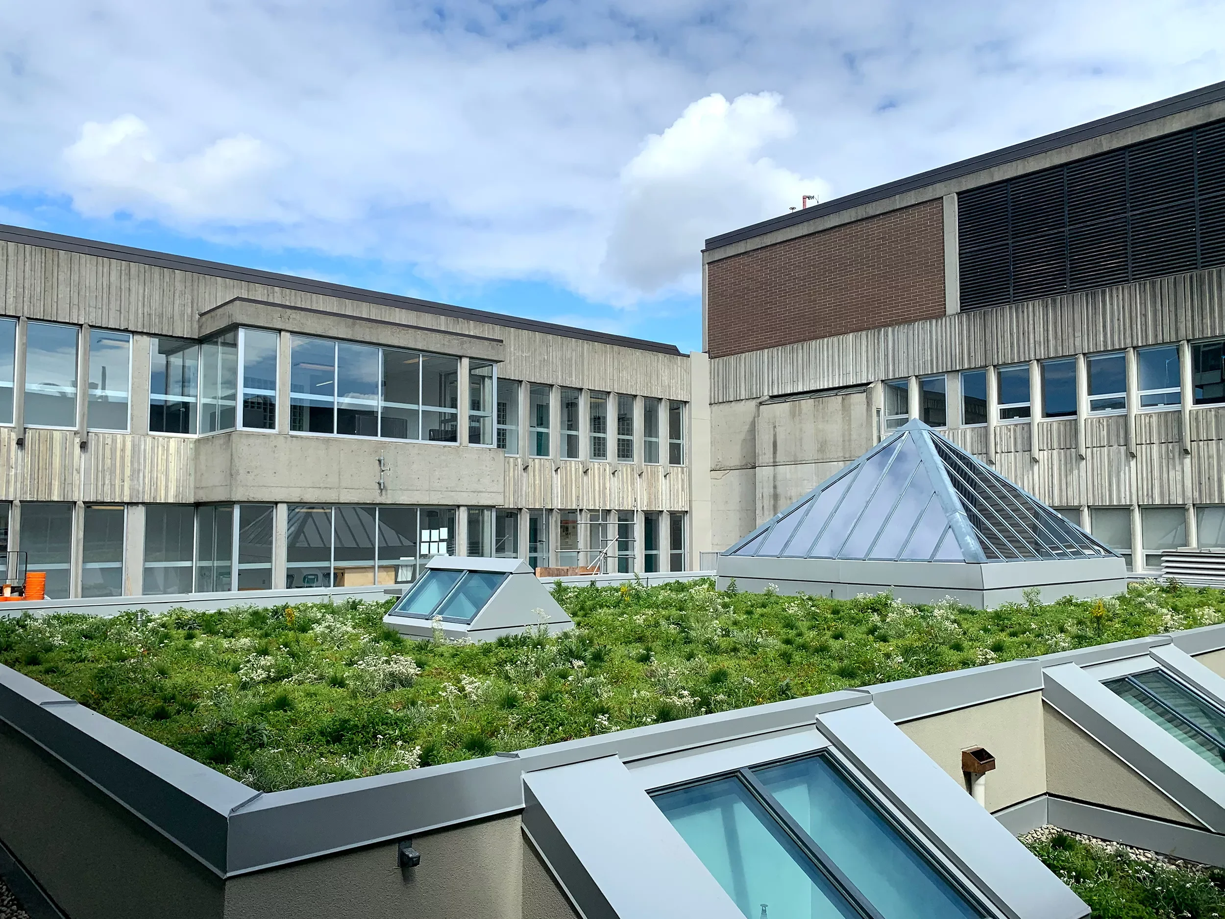 NATS Project Natives.webp