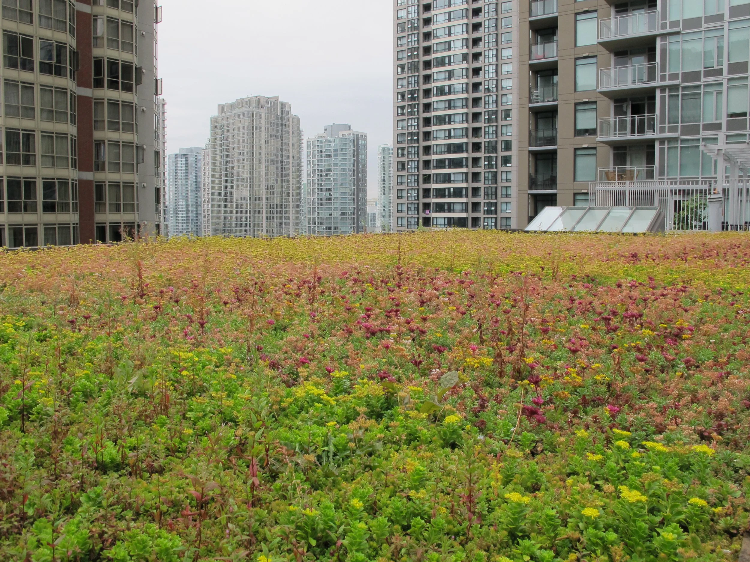 Beasley_1Aug2012 (7).JPG