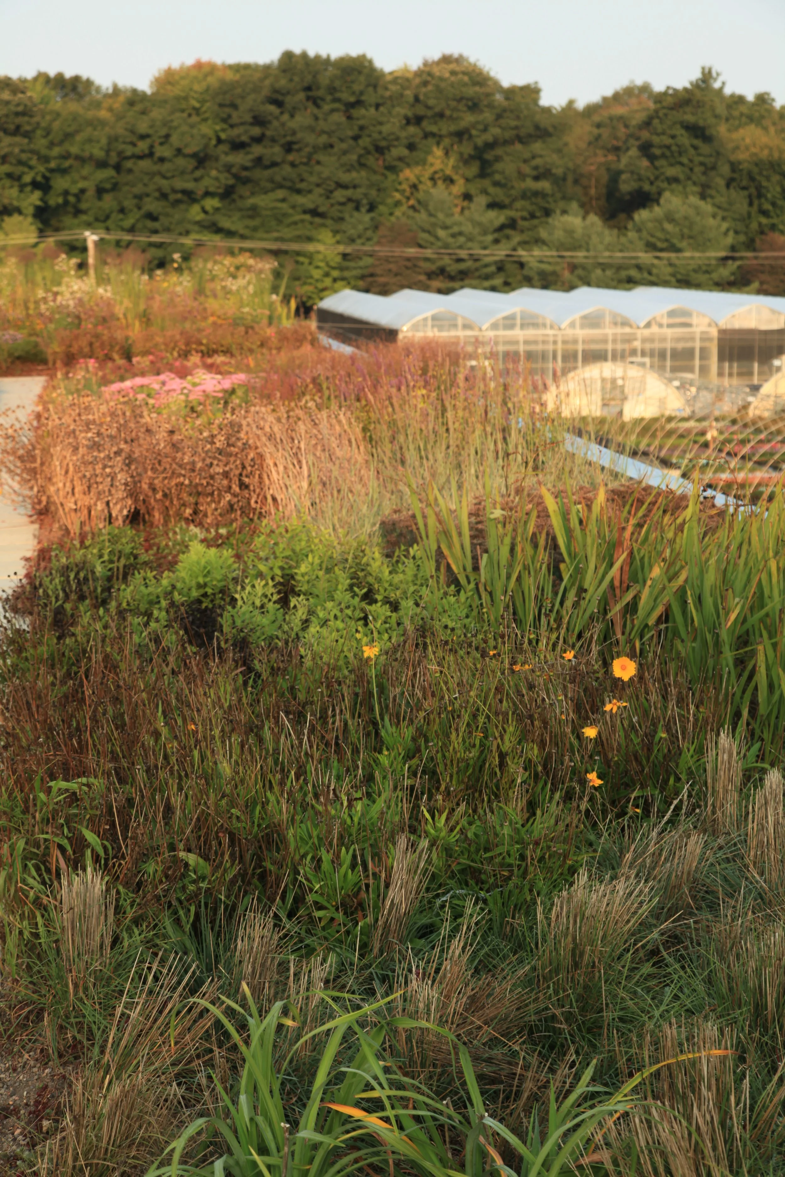 Hortech Office North  (3).JPG