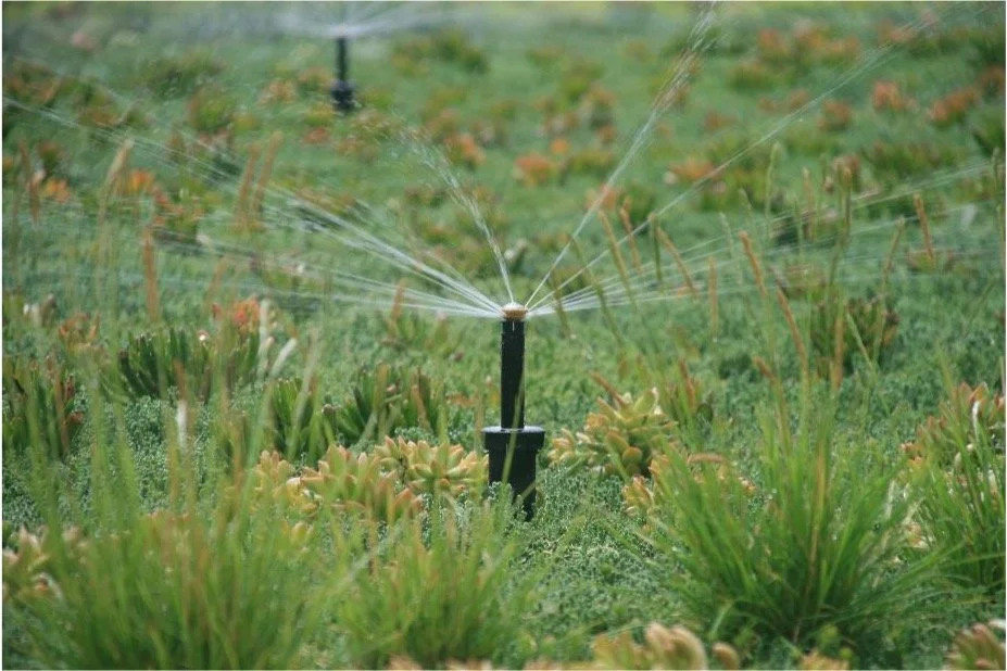 Irrigation Image.jpg
