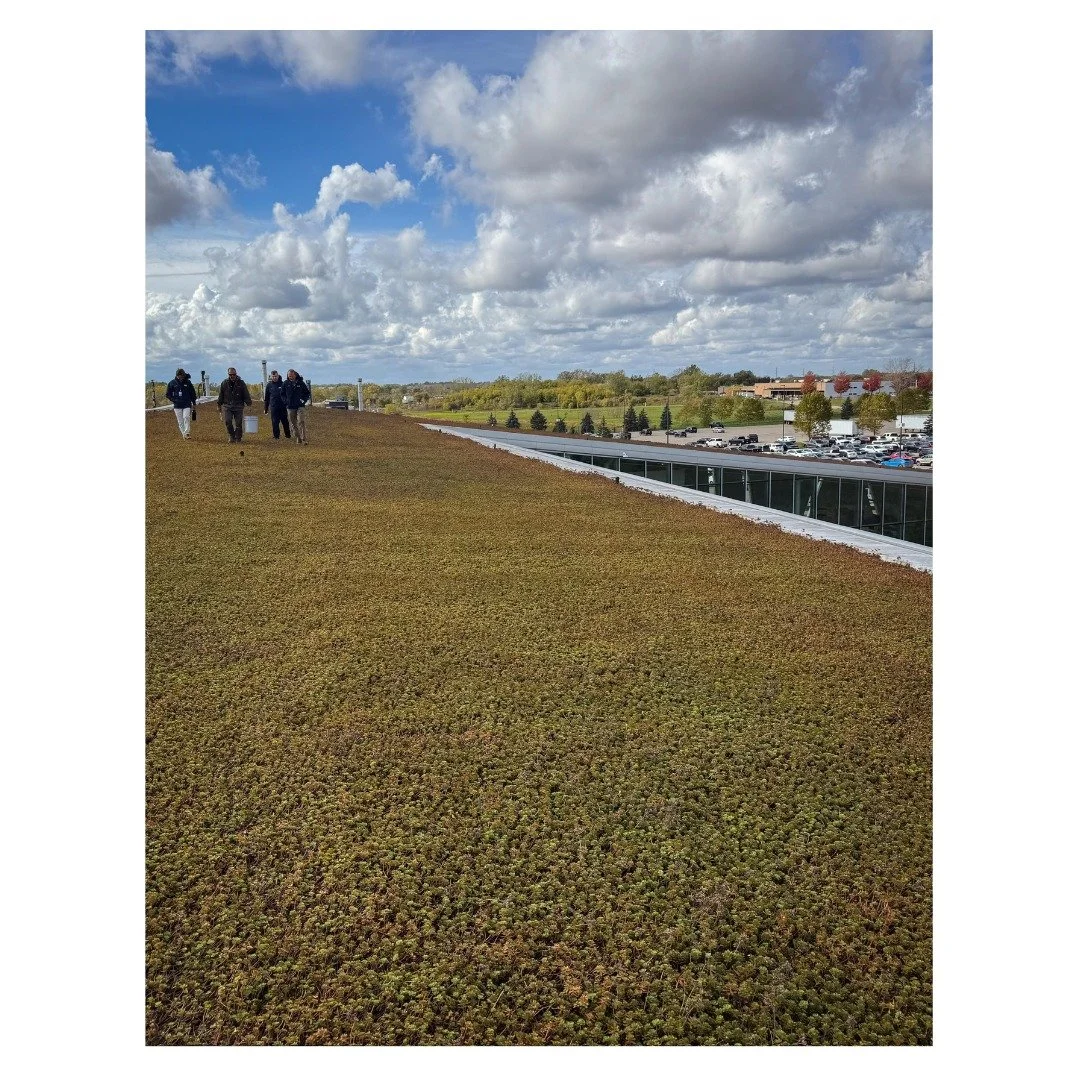 17 years later and still thriving. 🌱

This green roof in Holland, MI proves what we&rsquo;ve always known, a well-designed LiveRoof&reg; system lasts. With time, it only gets better. At first glance it&rsquo;s hard to tell that this roof was install