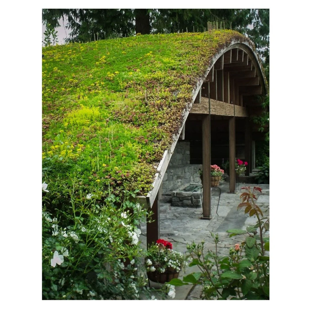 Architecture that grows with its surroundings. 🌿

This living roof softens the line between built and natural - a perfect example of how design and ecology can coexist beautifully.

#LivingArchitecture #natsnursery #GreenRoofDesign #Verda
#LiveroofN