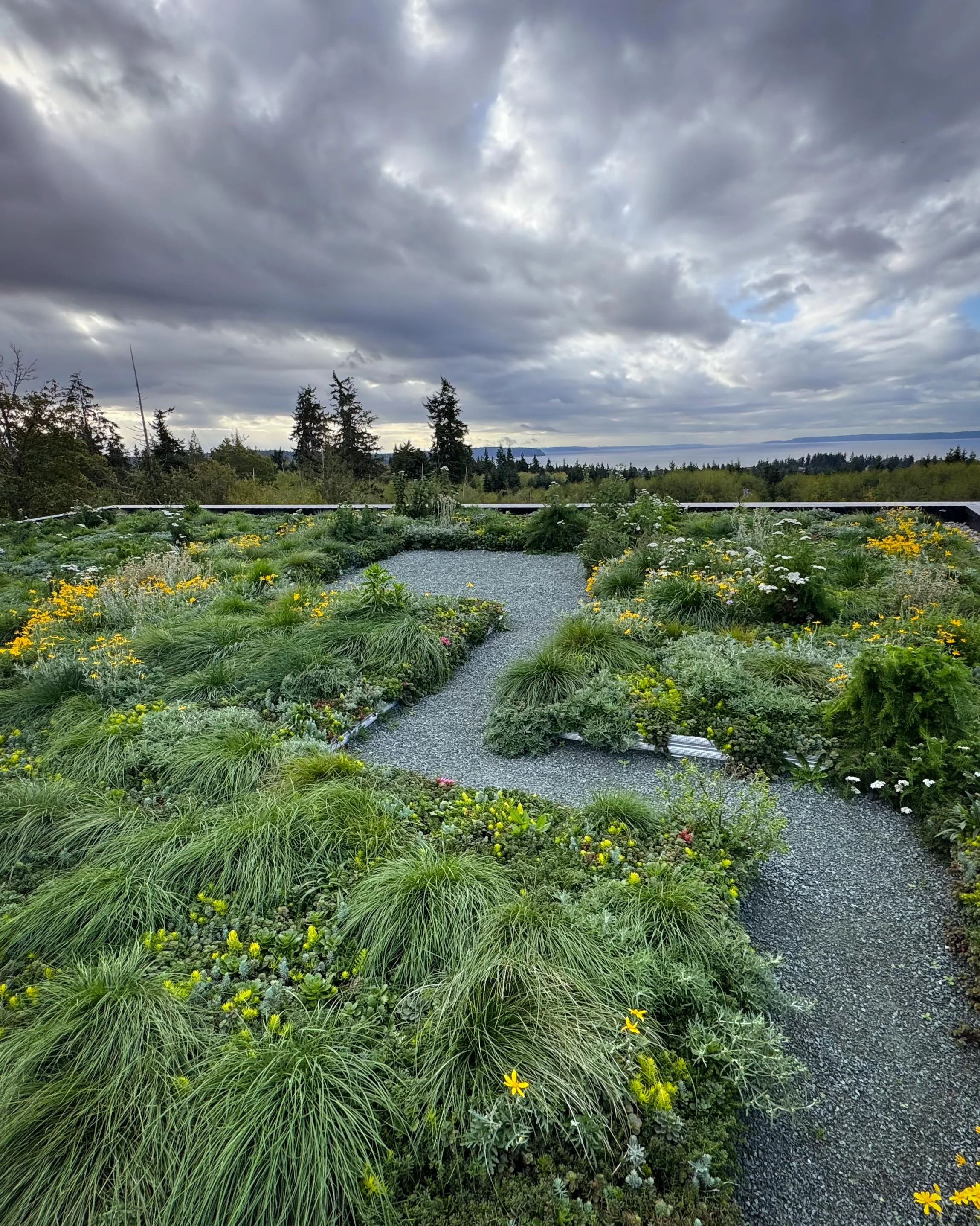 Photo Oct 01 2025, 9 23 13 AM.jpg