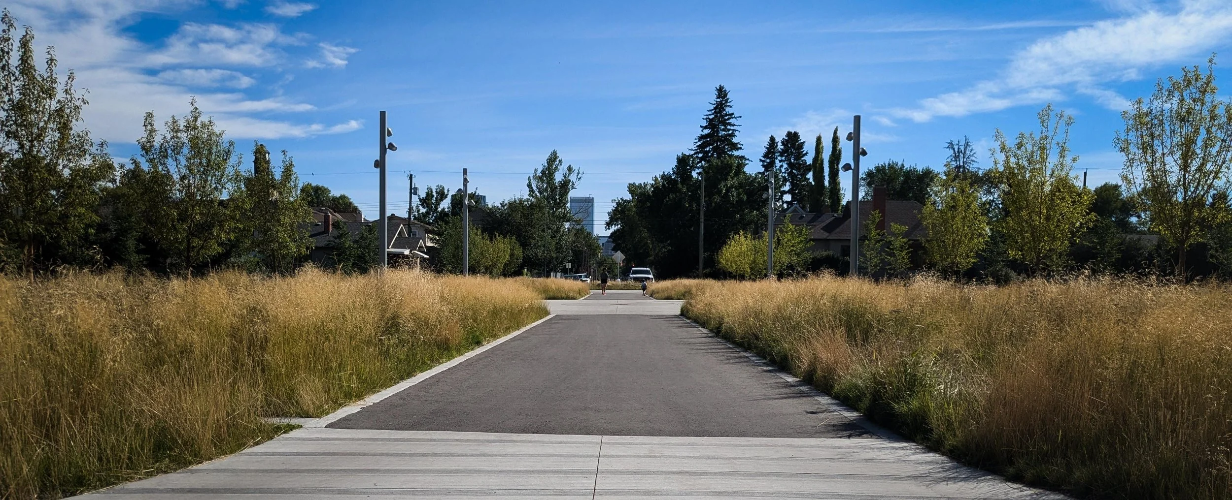 A paved pathway lined with tall grass on both sides, leading toward residential houses and trees under a blue sky with scattered clouds.