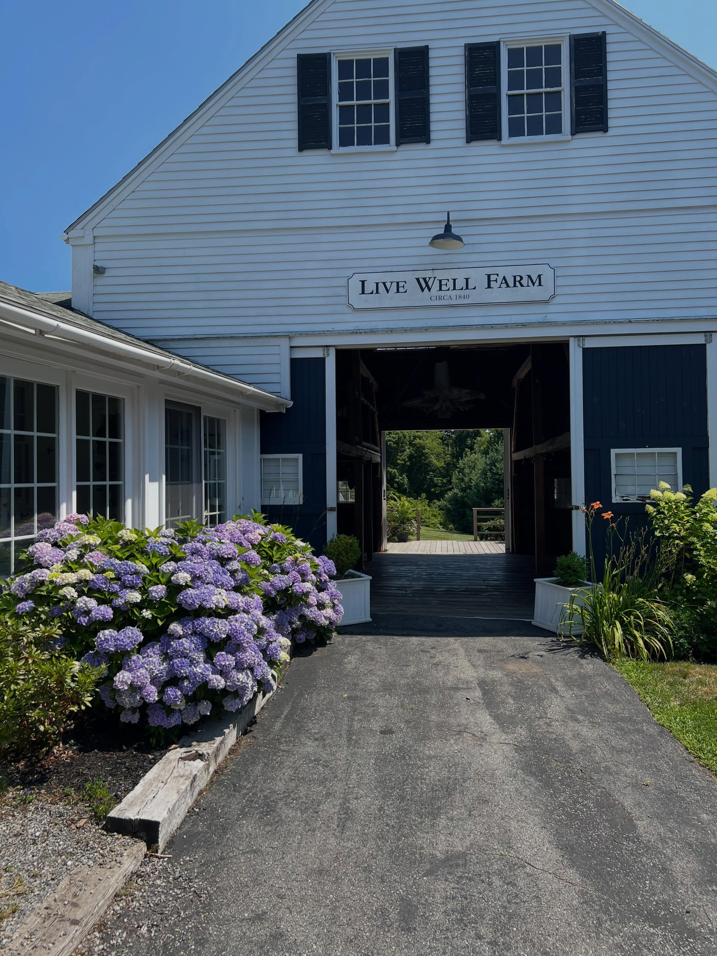 Every weekend is about to look like this! Bring on the sun, summer nights, and lush florals ☀️🌸🪻

Wedding | Wedding Planners | Wedding Coordinator | Coordination | Maine Wedding | New Hampshire Wedding | Boston Wedding | Massachusetts Wedding | New