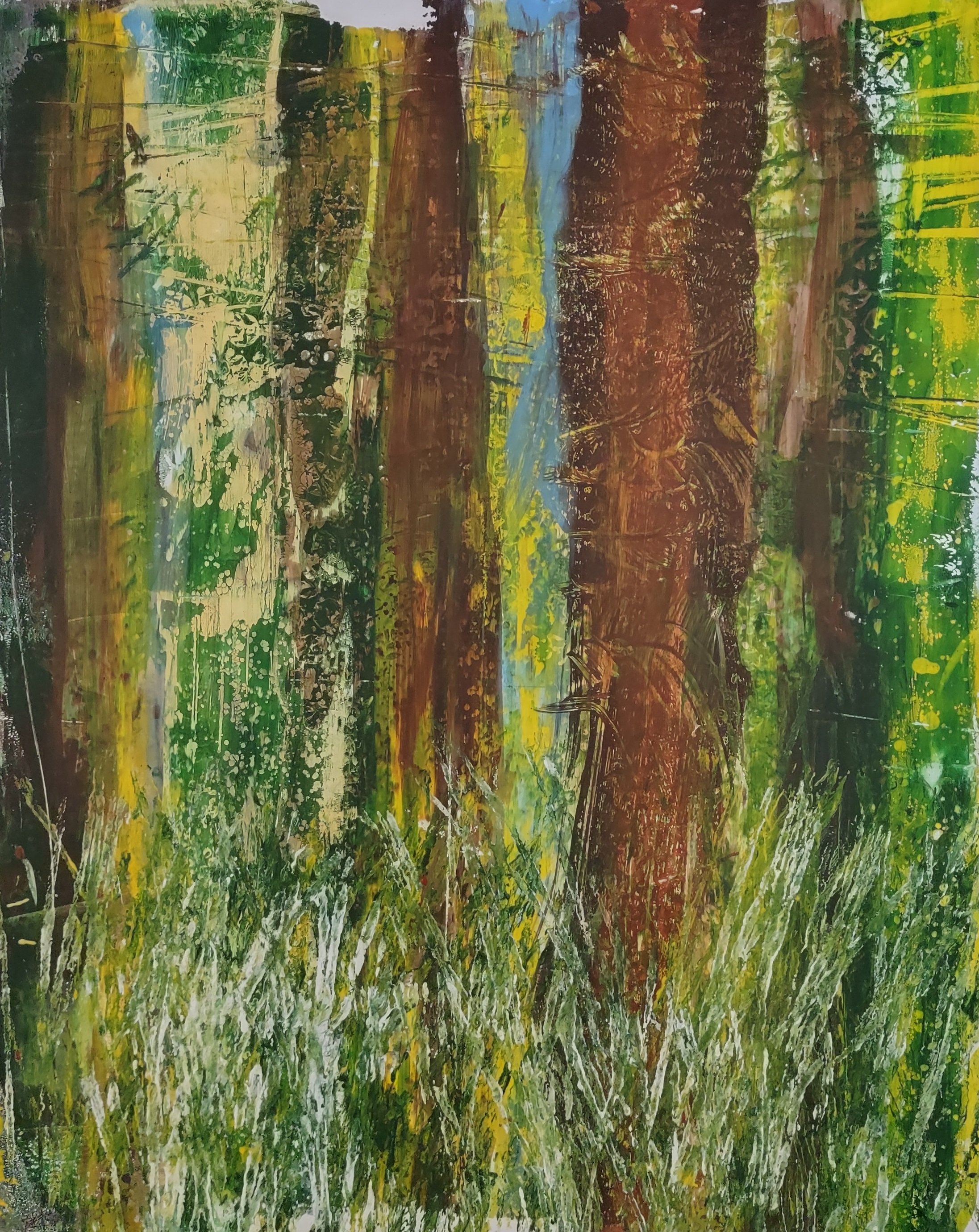 Through the Woods