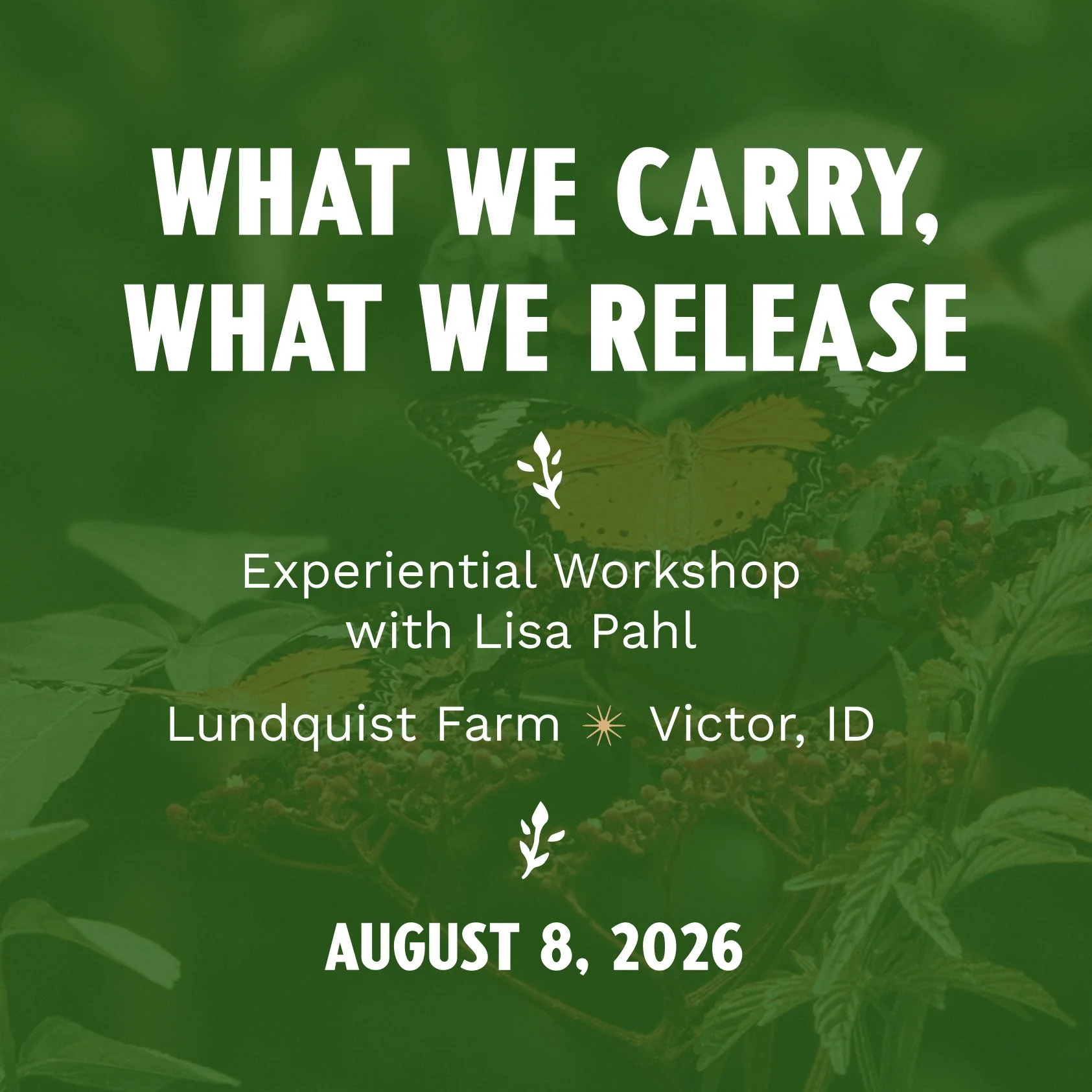 What We Carry, What We Release: Reflections on Life, Loss, and What Matters Most  with Lisa Pahl