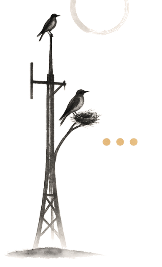 Two birds perched on an electricity pylon — one in a nest on a branch, the other on the pole — with a circle in the top-right corner and three dots in the text area.
