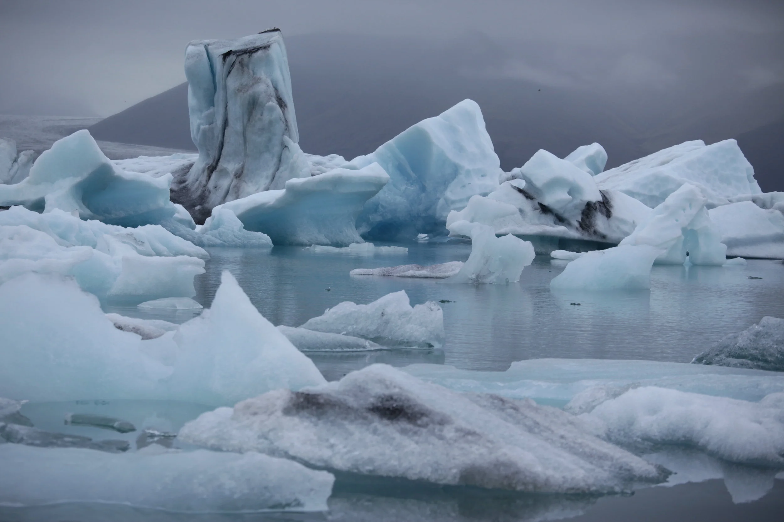 Icebergs floating in cold water with overcast sky in the background.