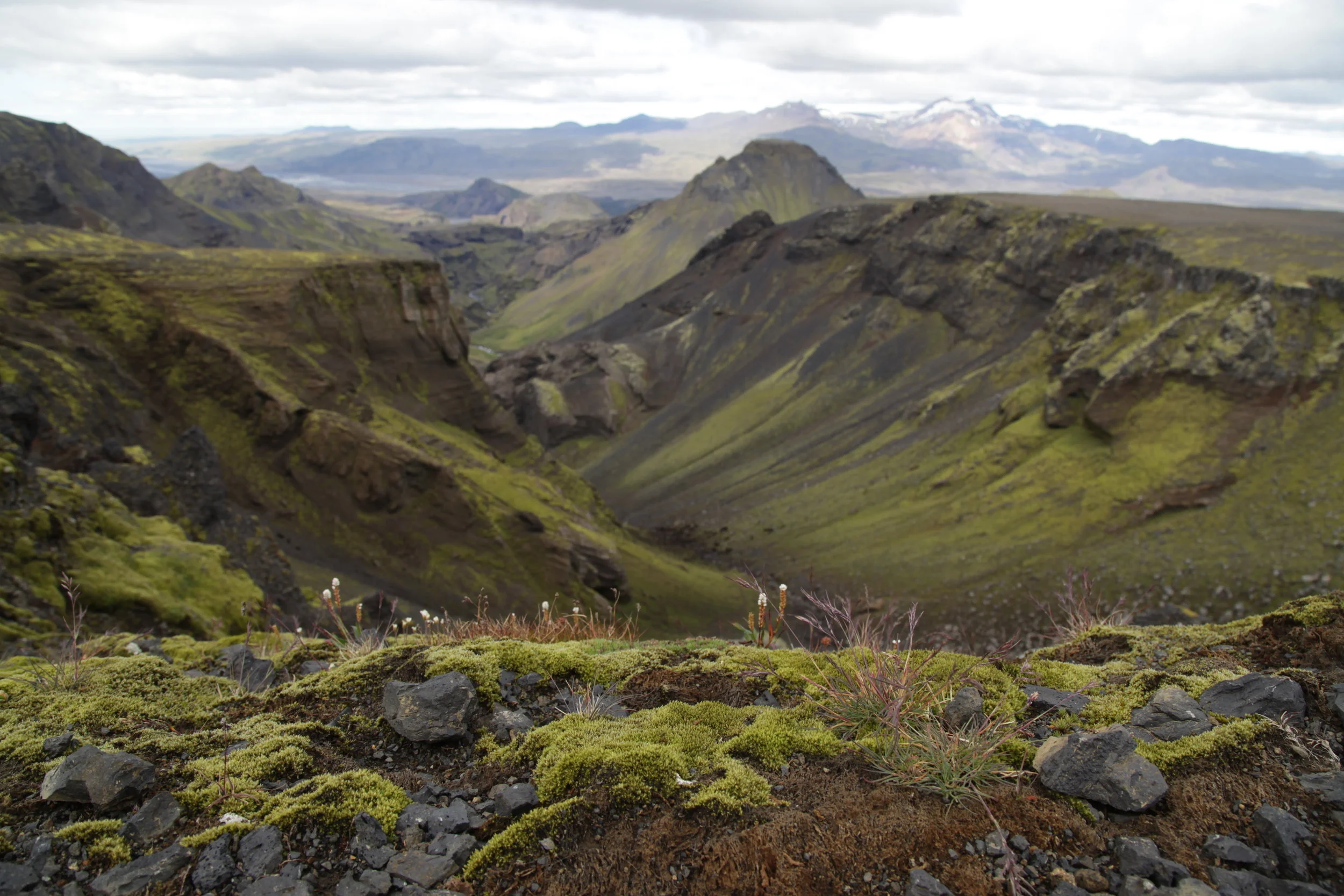 A green moss-covered landscape with steep cliffs and valley in a Icelandic volcanic region under cloudy sky.