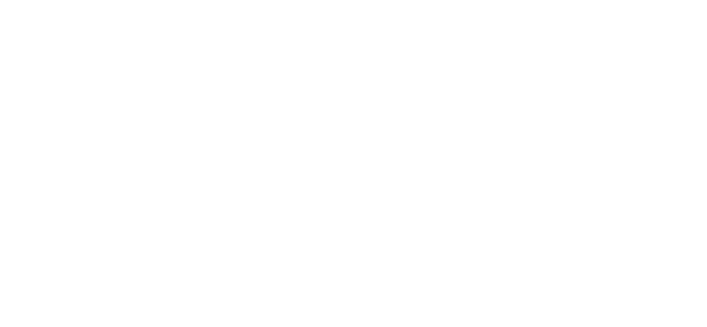 SDF24_White_InternationalFirstFeatureCompetition.png