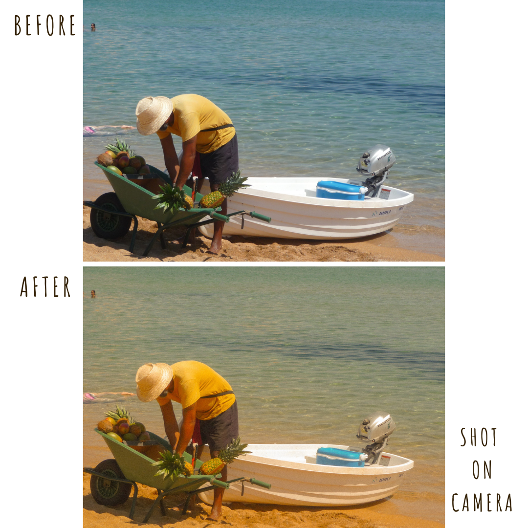 SUMMER NOSTALGIA.png