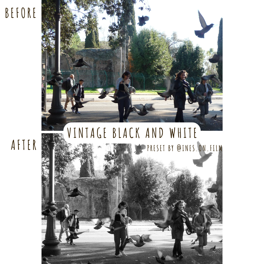 vintage black and white preset