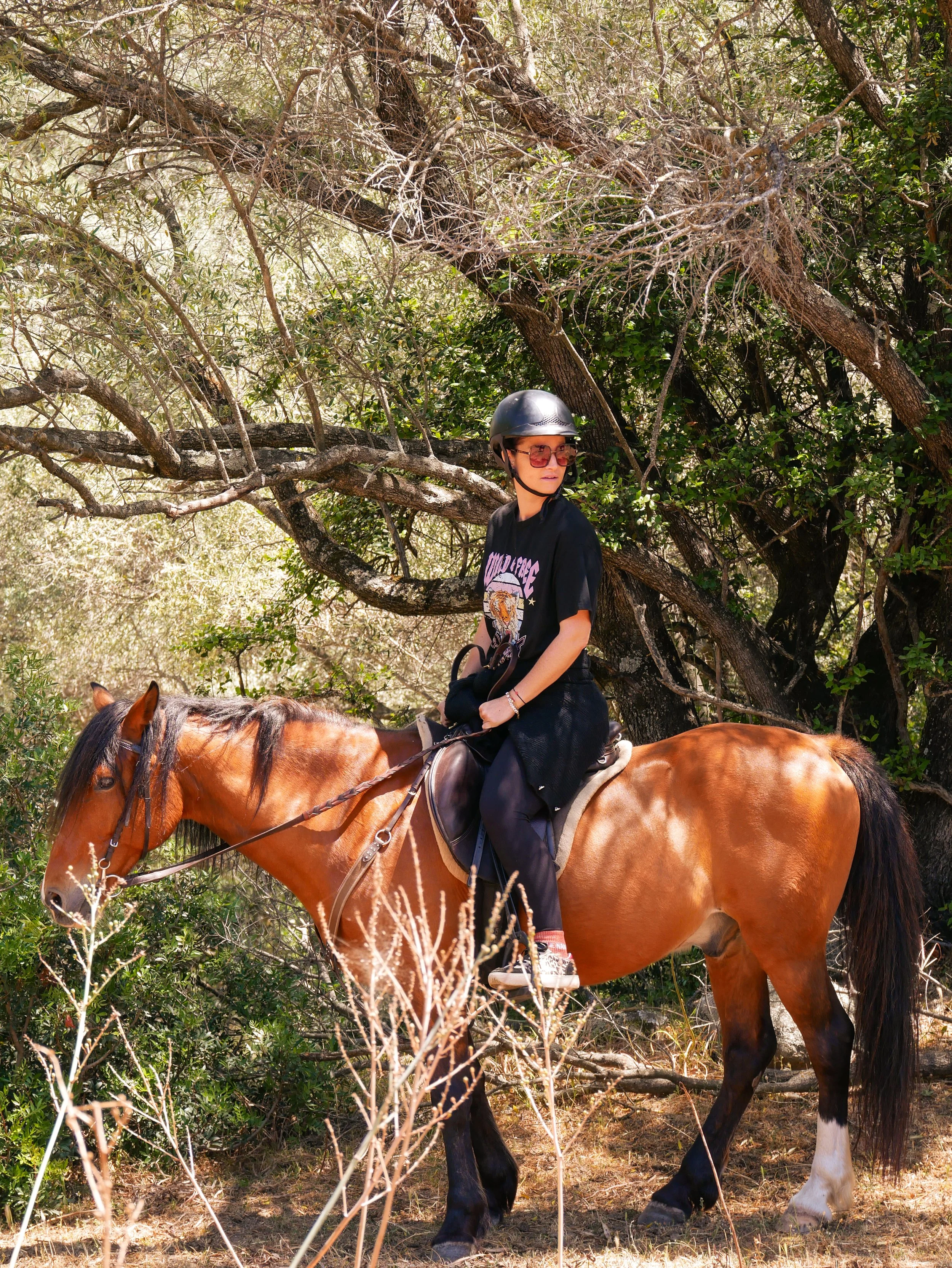 Balade à cheval 2