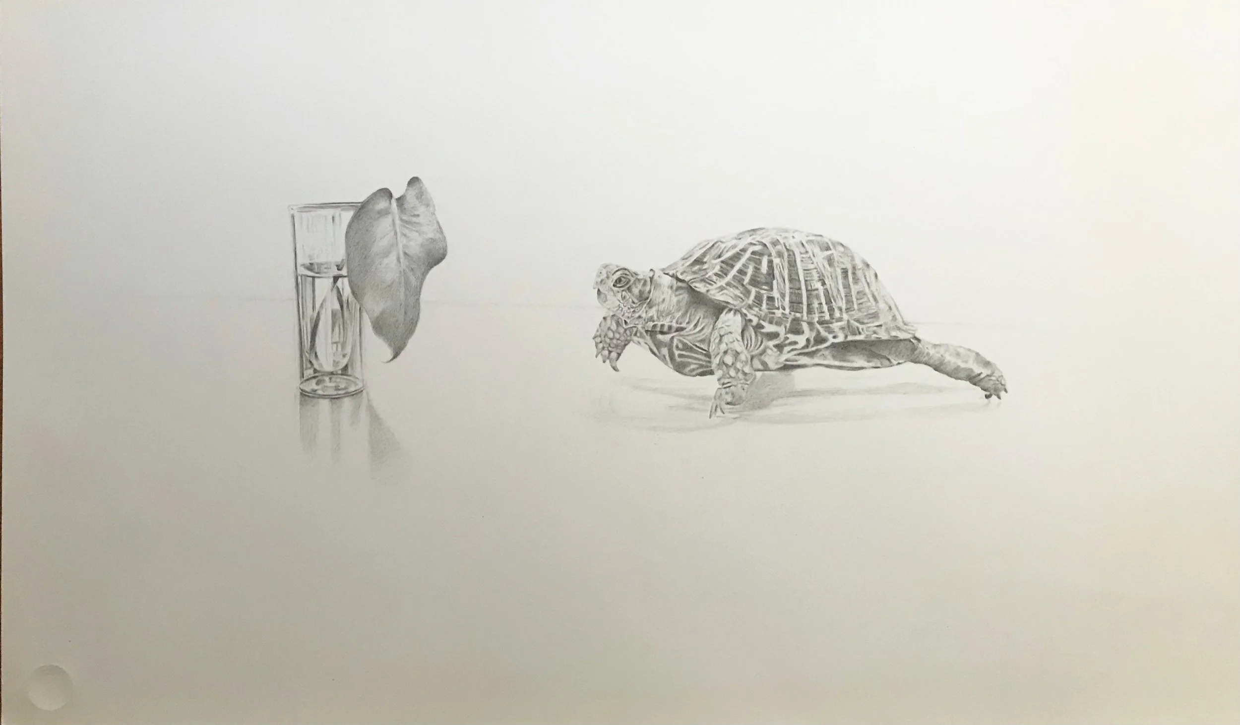 Artist Life, graphite on paper