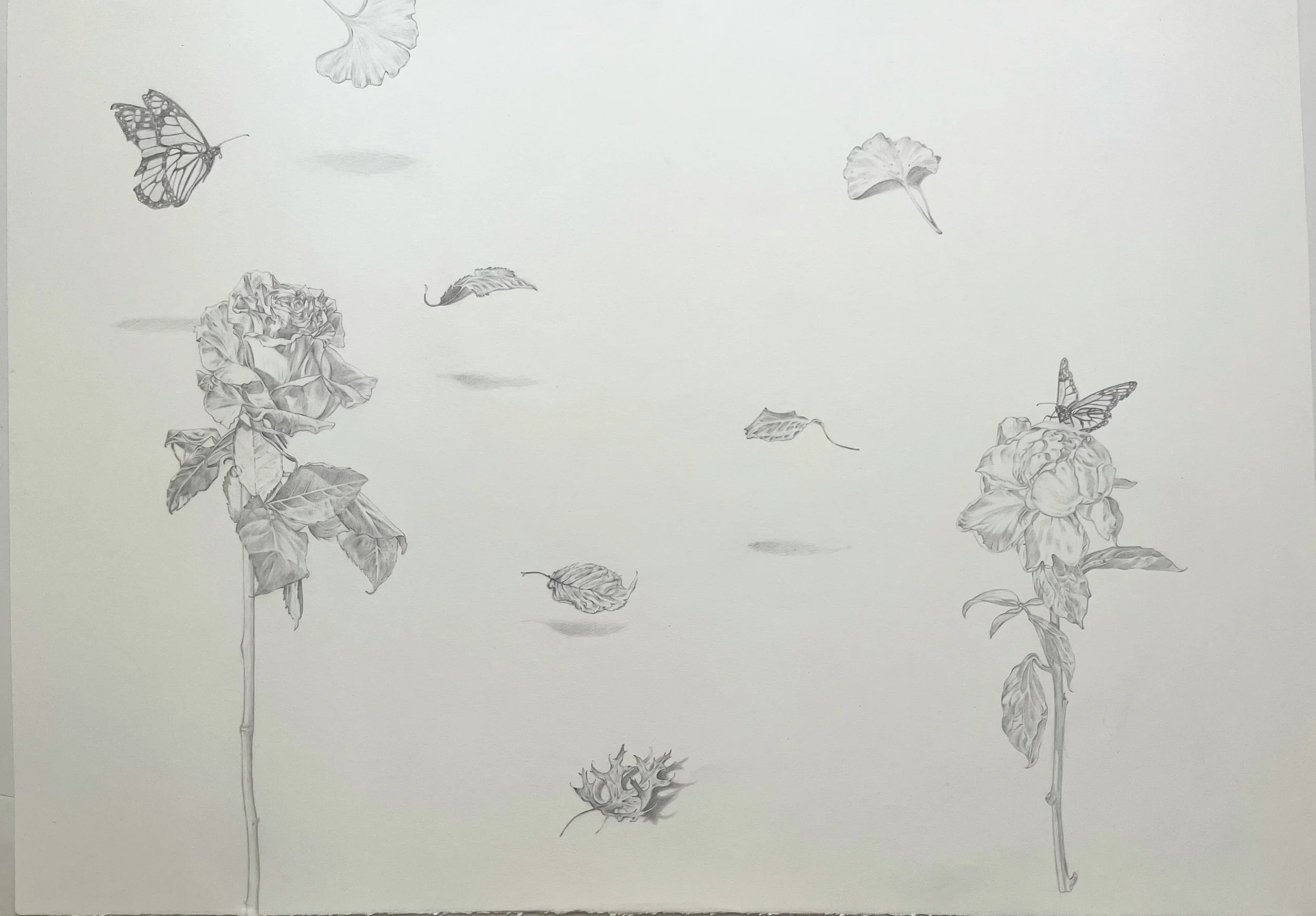 Four Seasons, 30 x 42",  graphite on paper