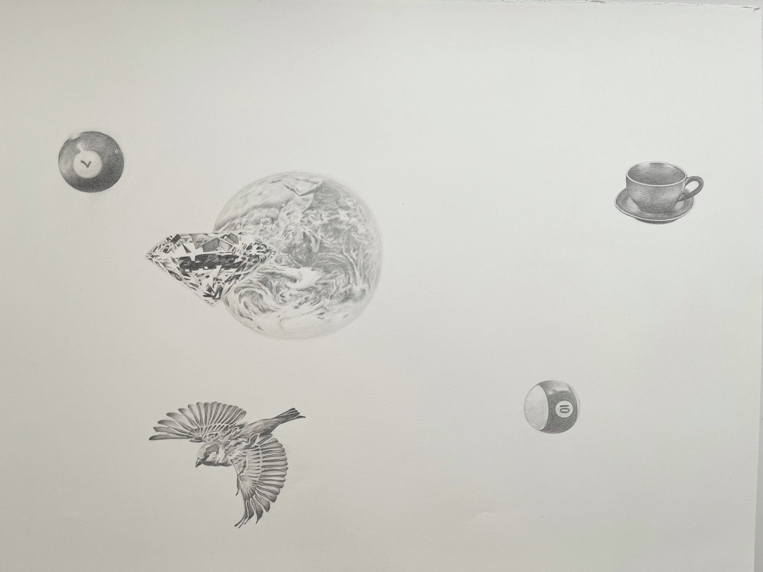 Satellites, 30 x 42", graphite on paper