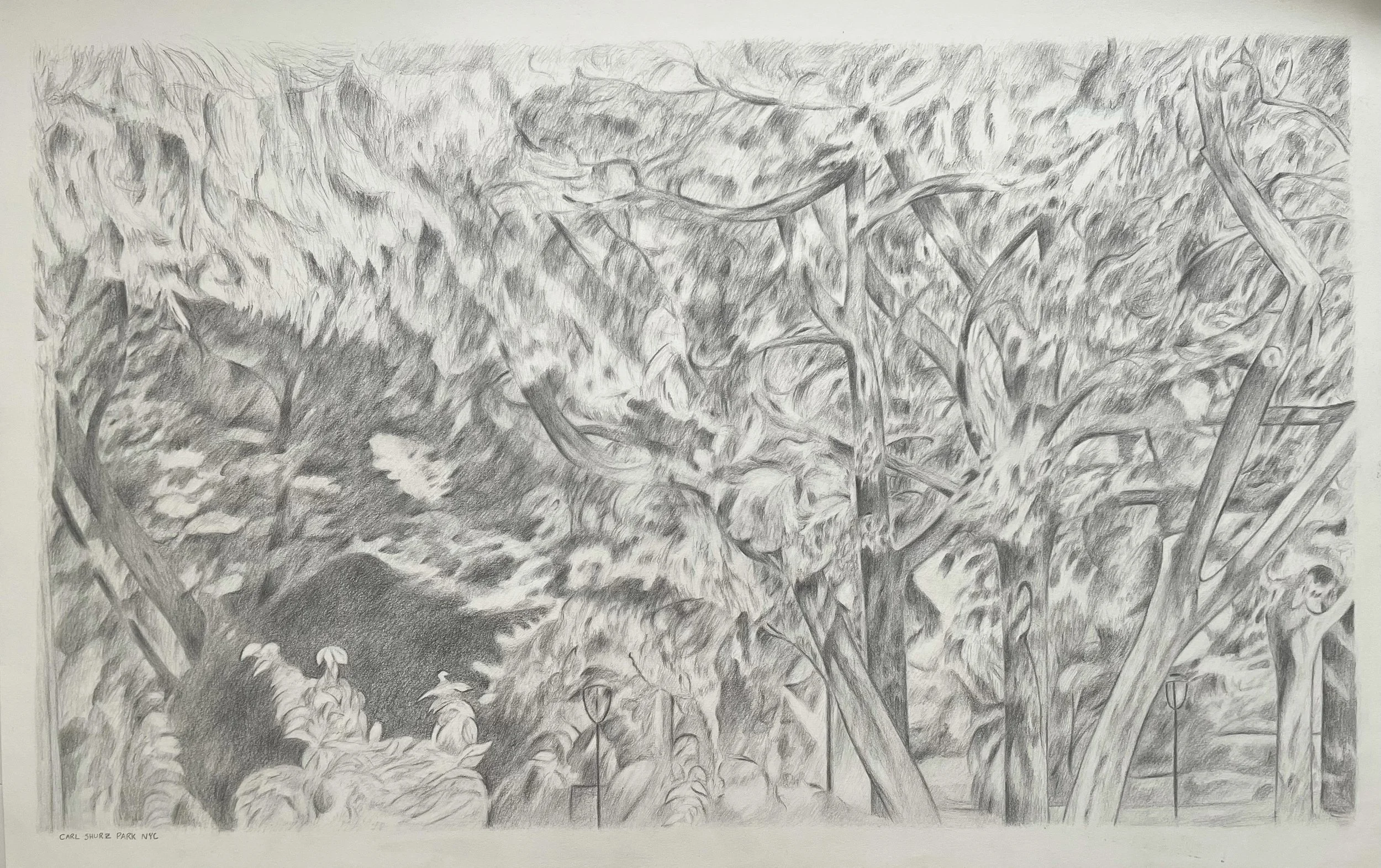 Carl Shurz Park, graphite on paper, 30 x 42"