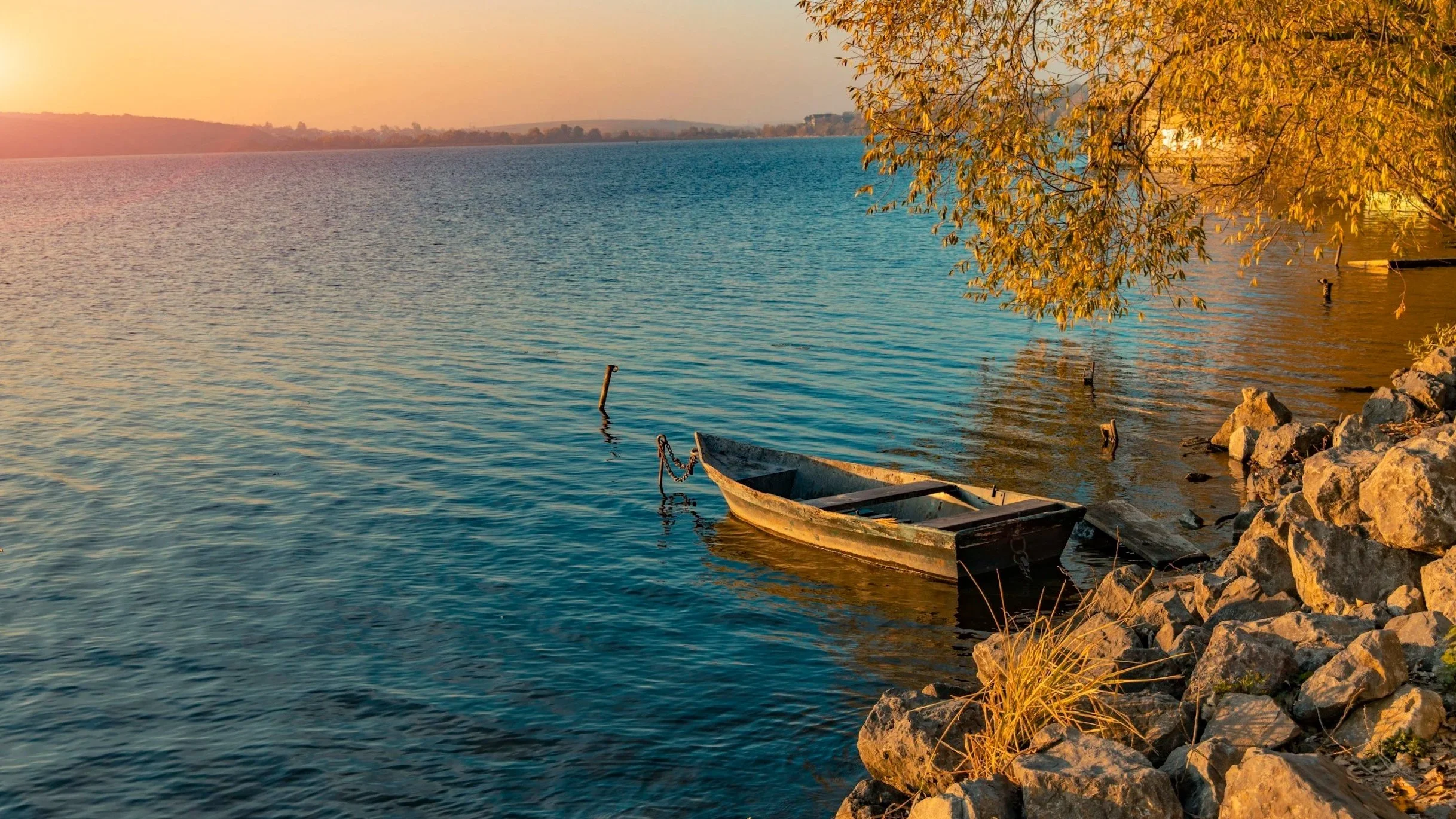 A small boat floating near rocky shoreline with a tree overhead, during sunset over calm lake water.