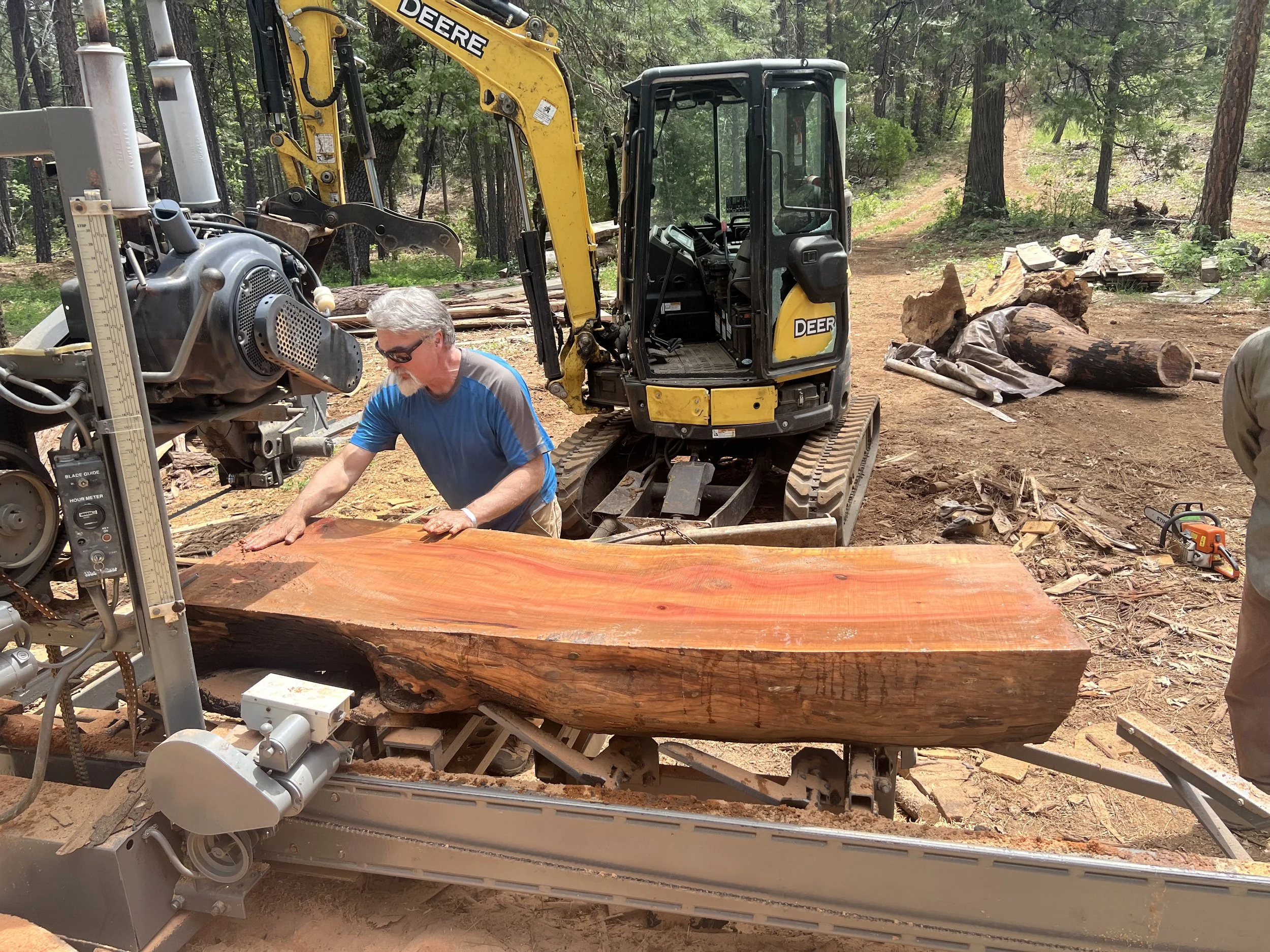 A man wearing sunglasses and a blue T-shirt is operating a large bandsaw to cut a thick, reddish wood slab in an outdoor forest setting, with logging equipment, trees, and logs visible in the background.