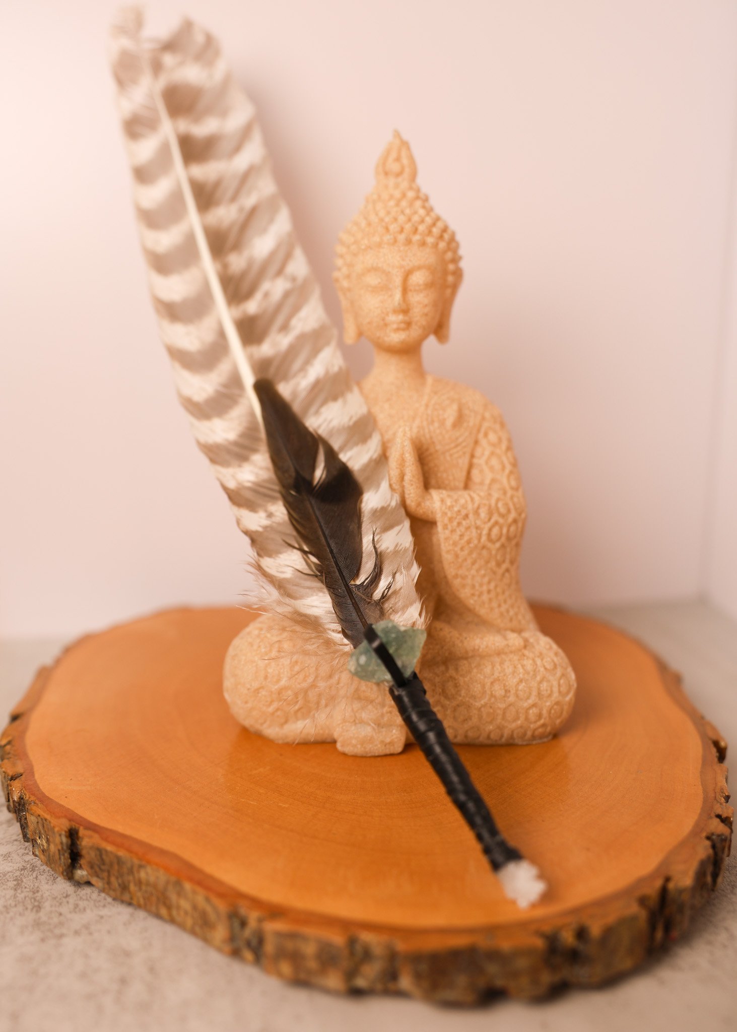 Black and White Feather