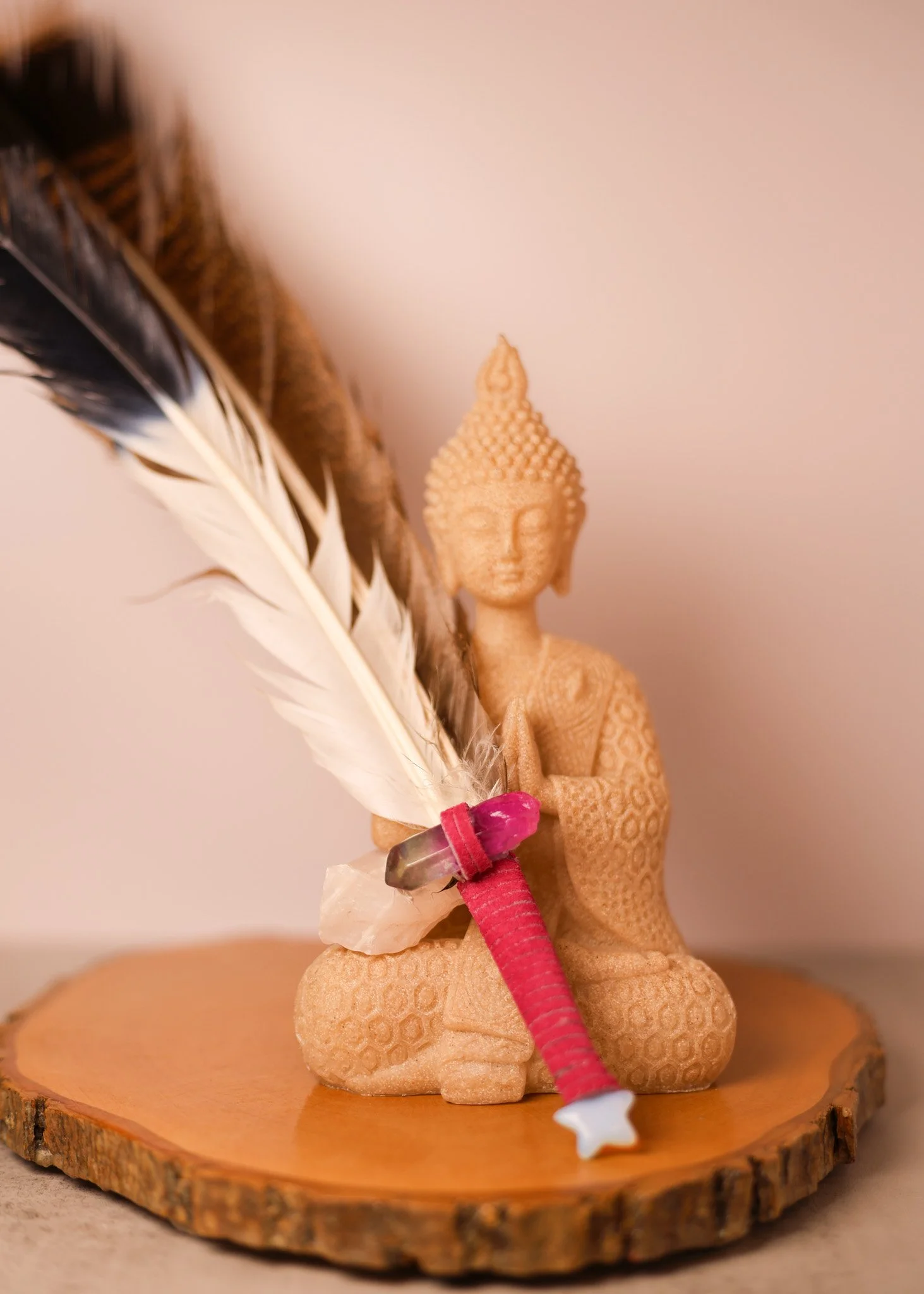 Pink and White Feather
