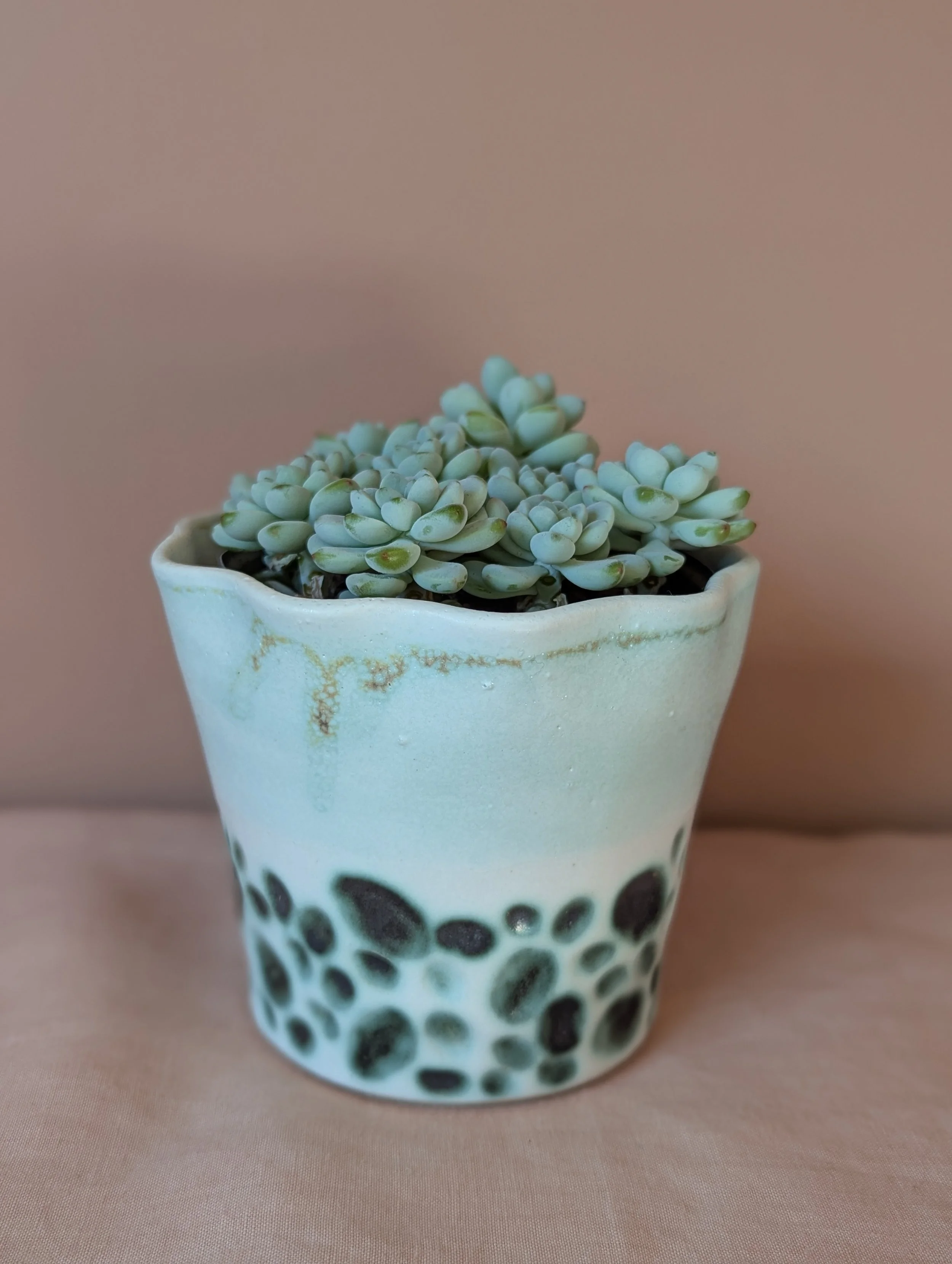 Pebble Wave Plant Pot