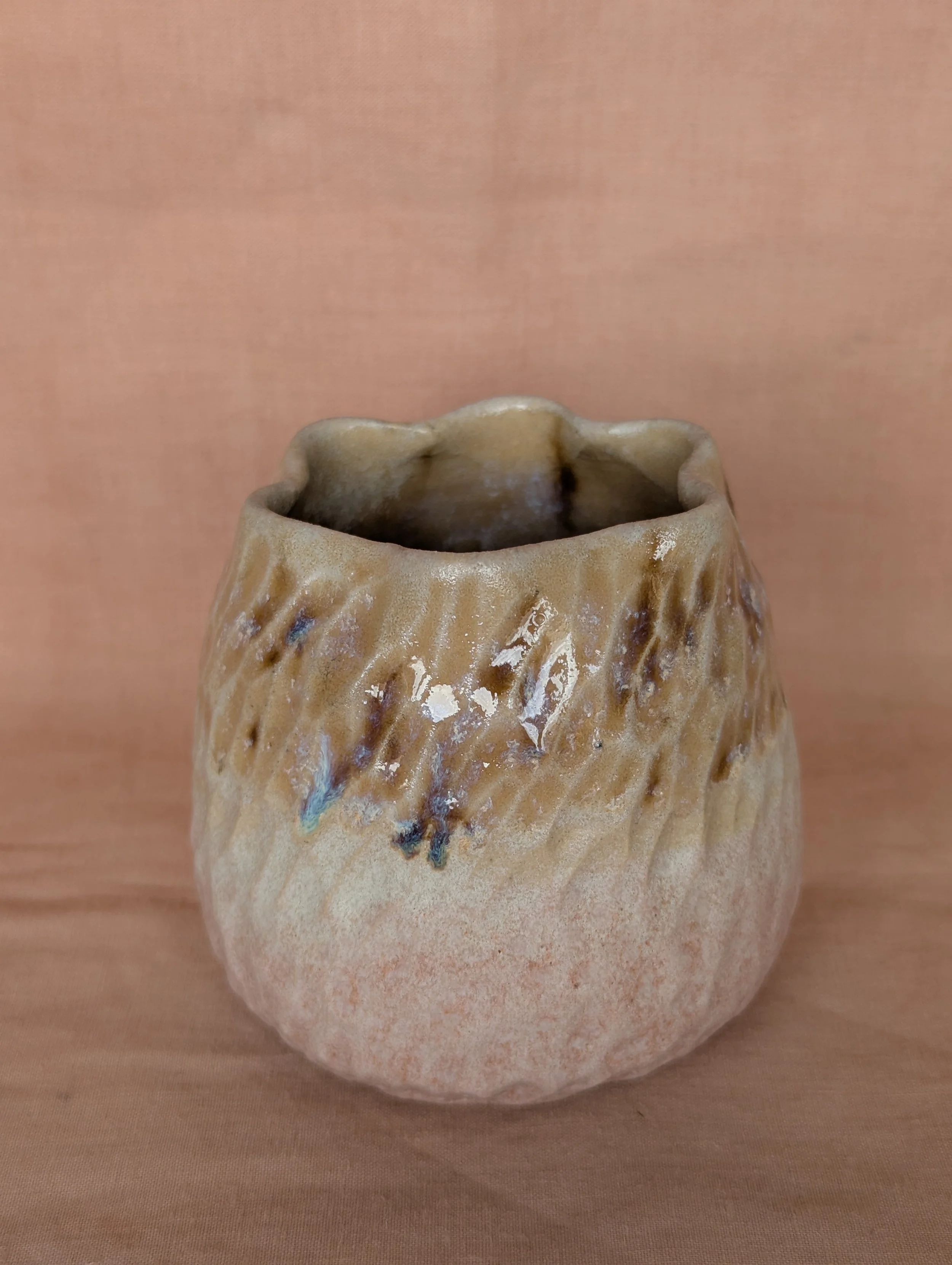PXL_20260410_113506851.jpg