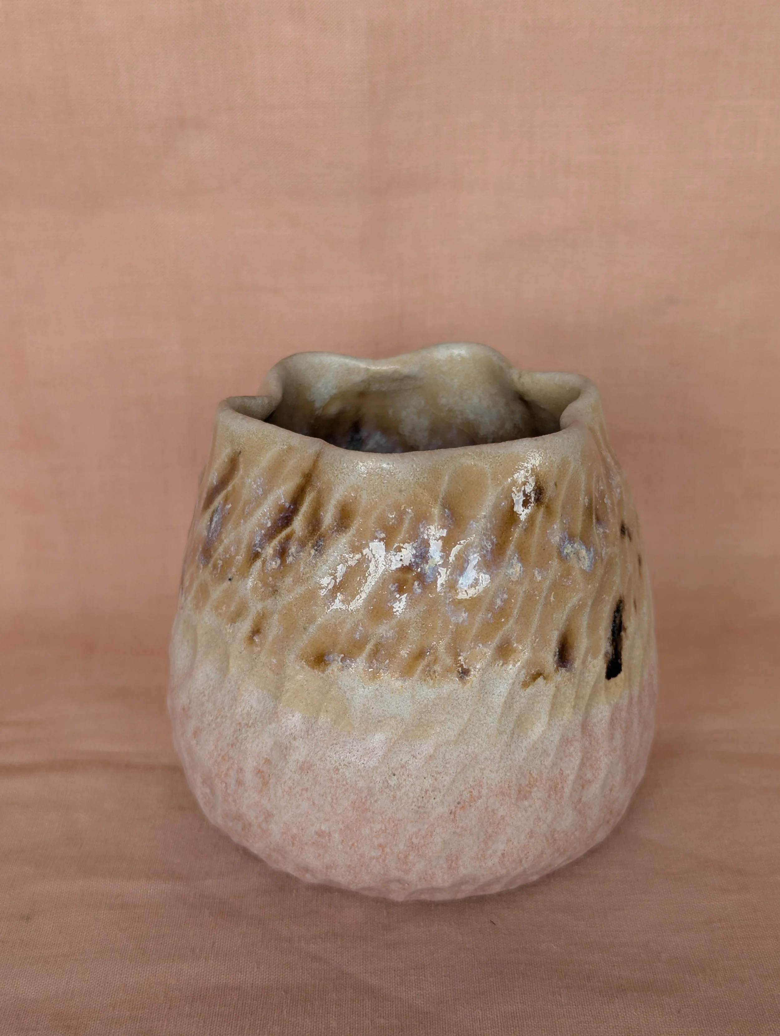 PXL_20260410_113459816.jpg