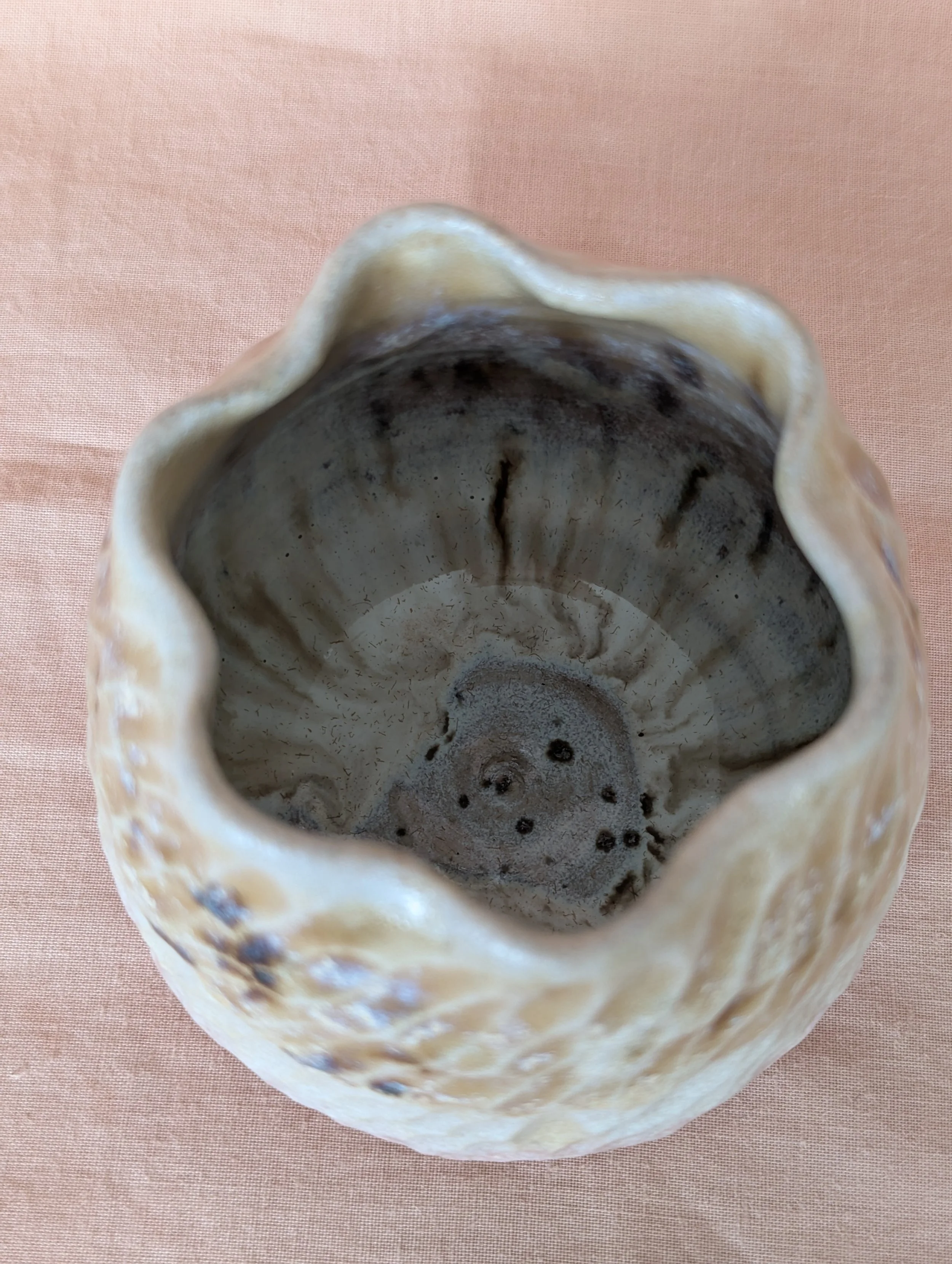 PXL_20260410_113537221.jpg