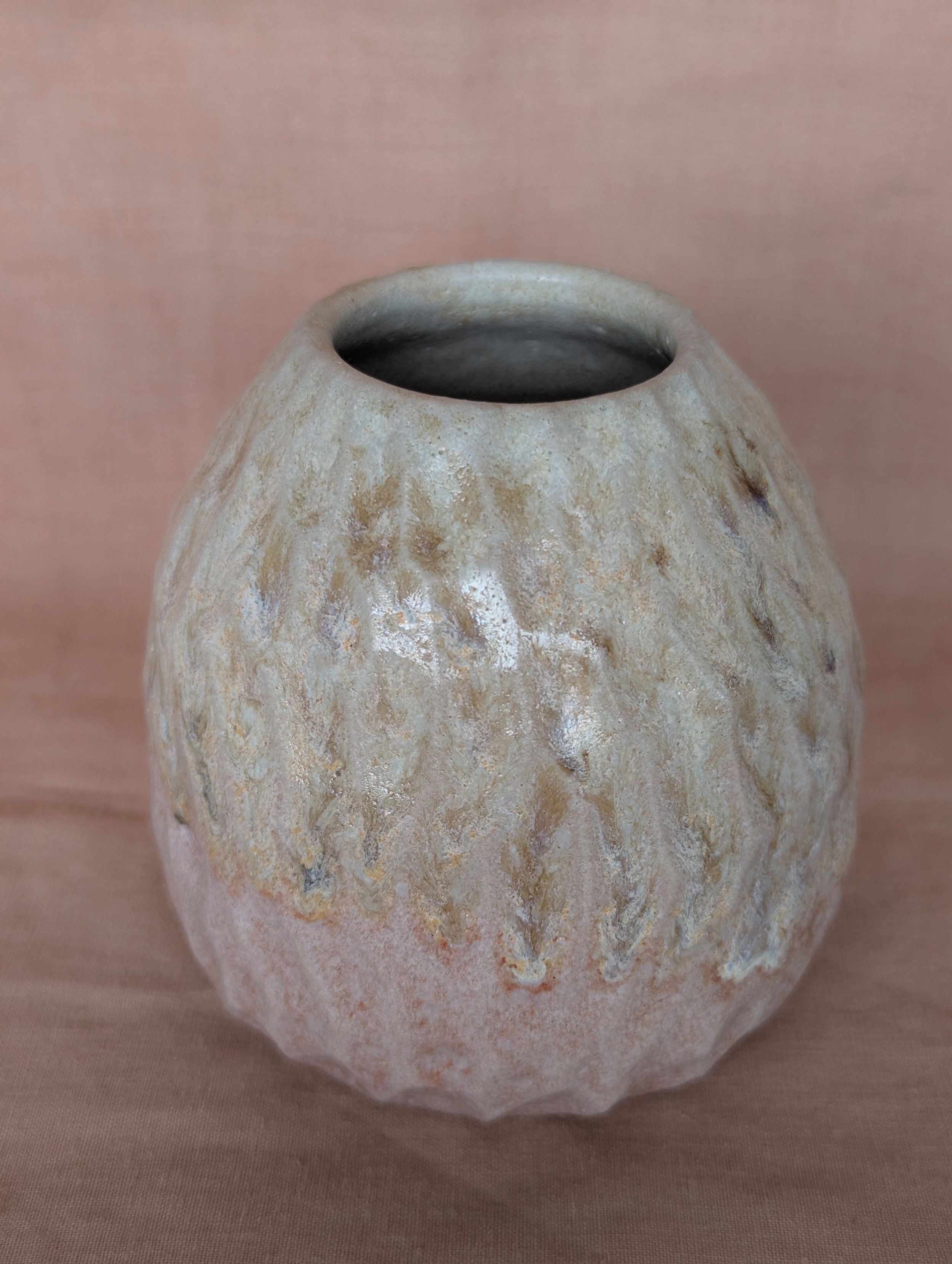 PXL_20260410_113555784.jpg