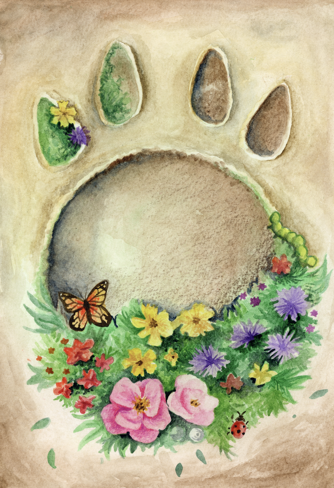 'Turtle Footprint 1'