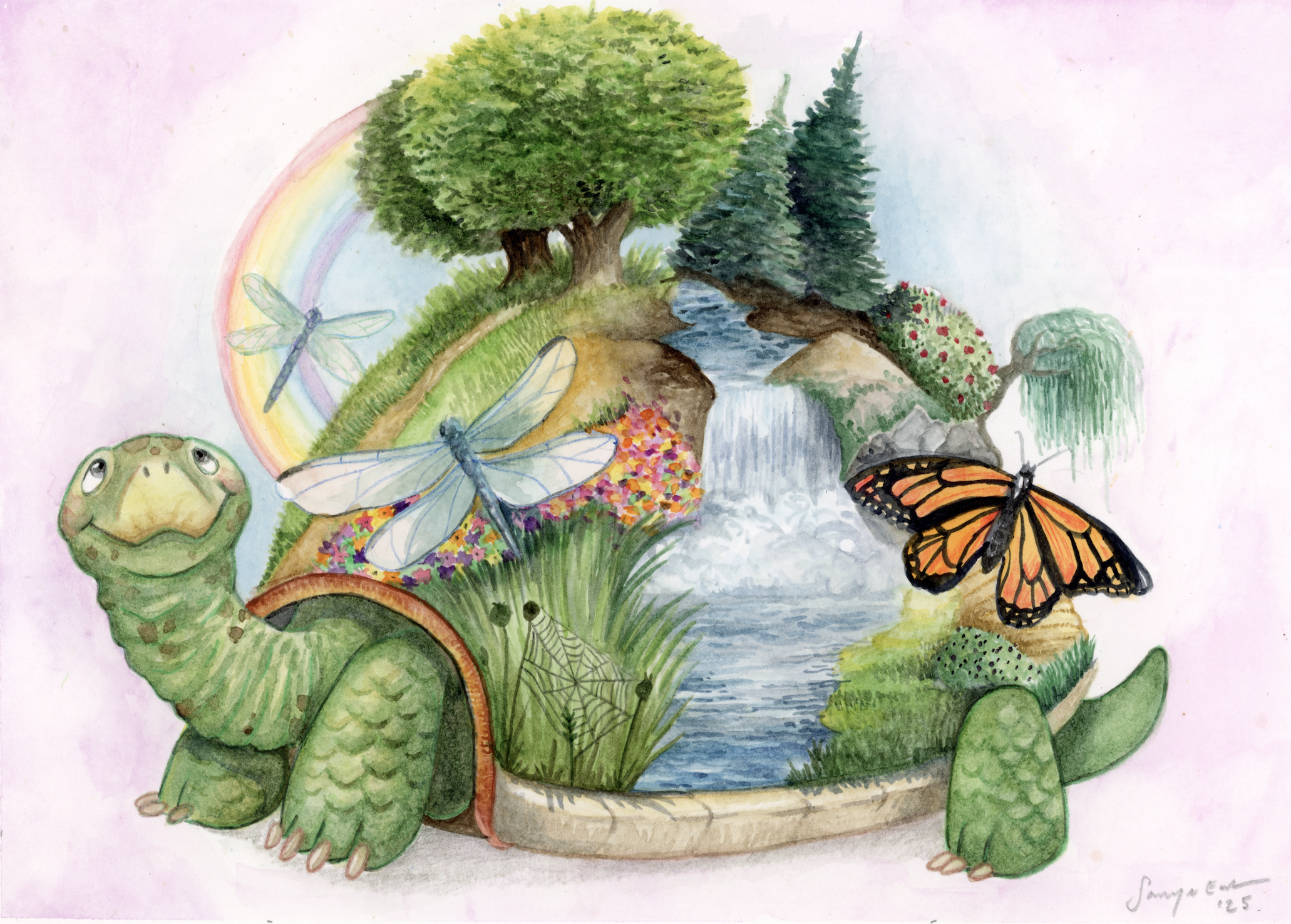 'The Turtle' Character Artwork