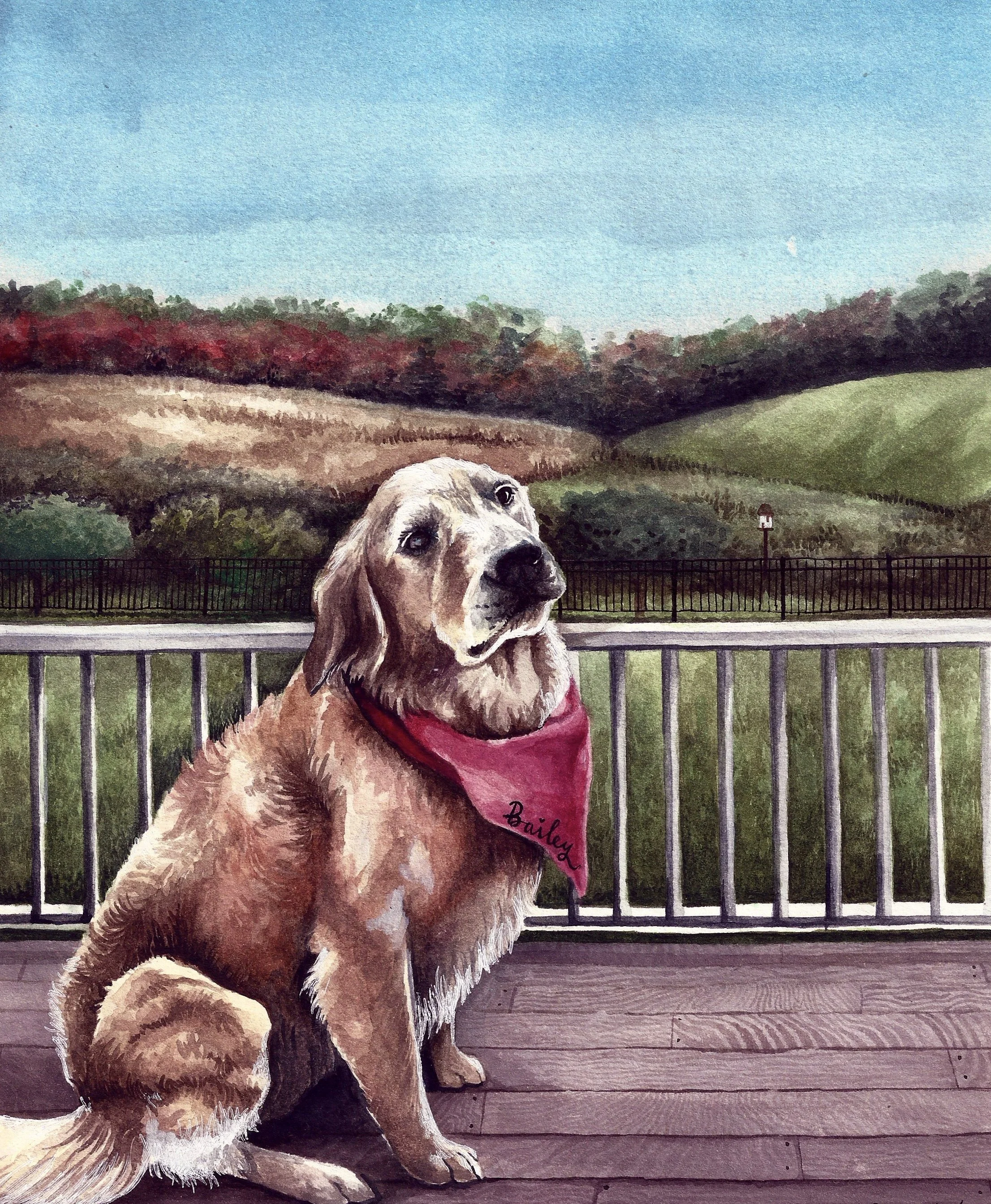 'Bailey', Watercolour on Paper