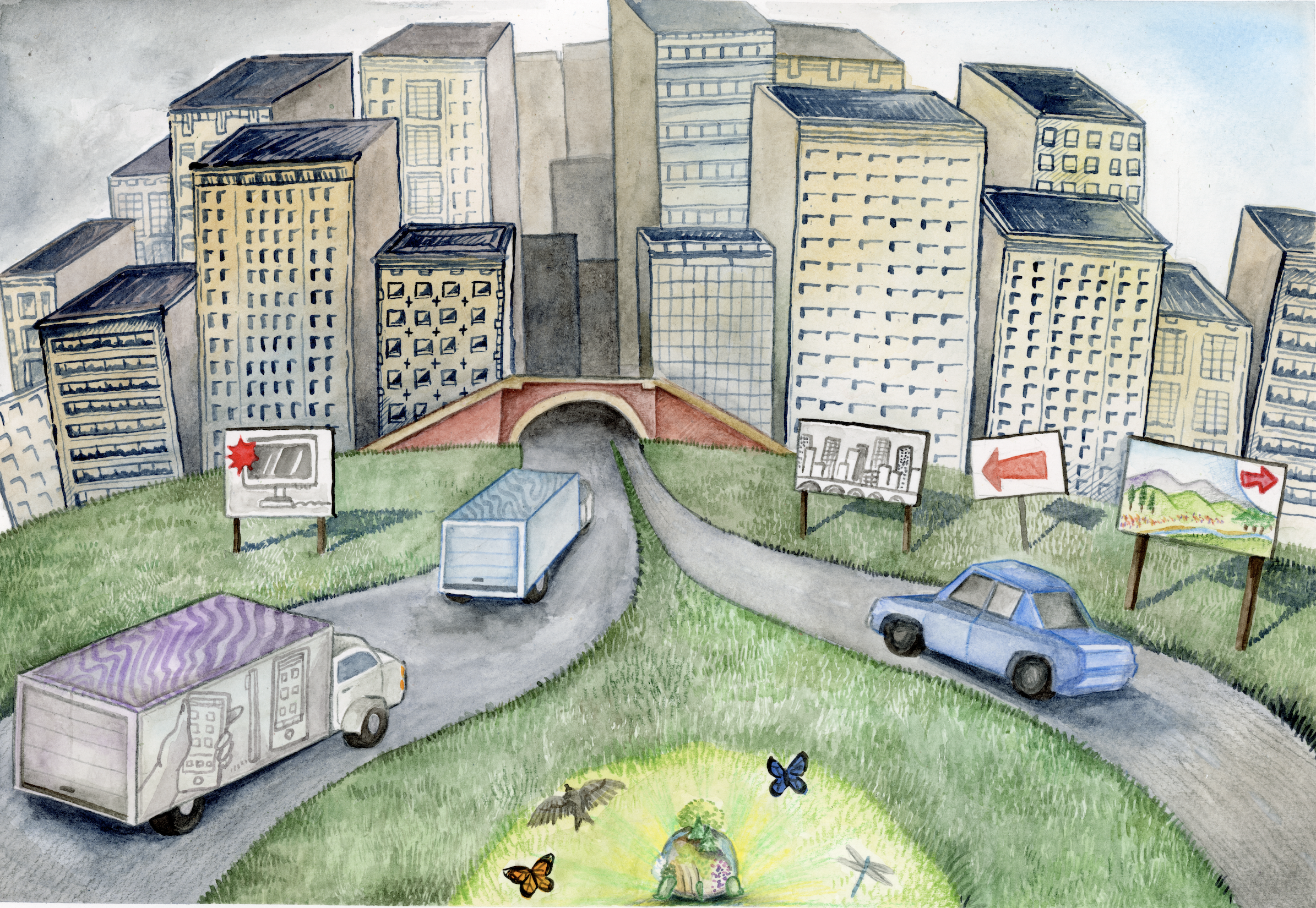 'The Turtle Spots Box City'