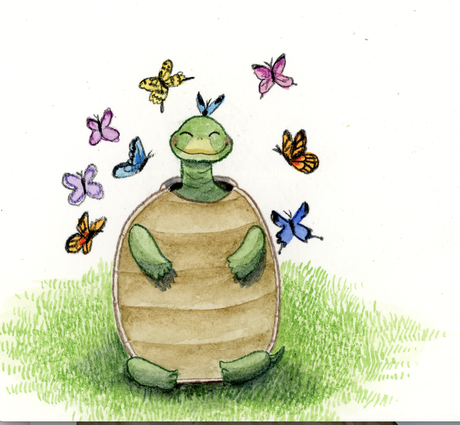 Turtle Character Study