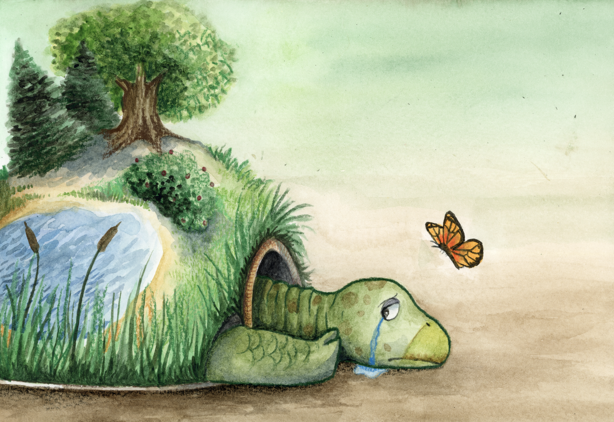 'Butterfly and Turtle Tears'