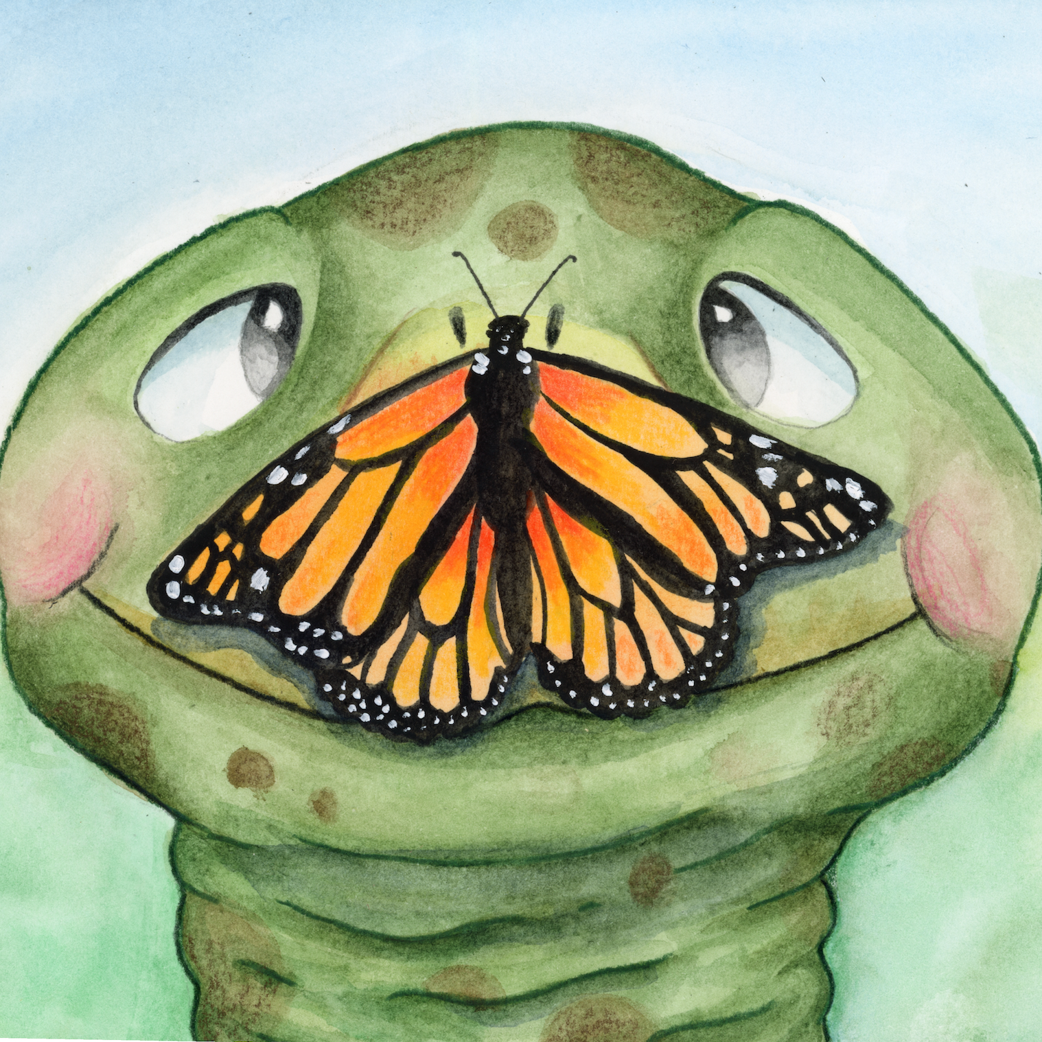 Turtle Tears and the Butterfly | Children's Storybook