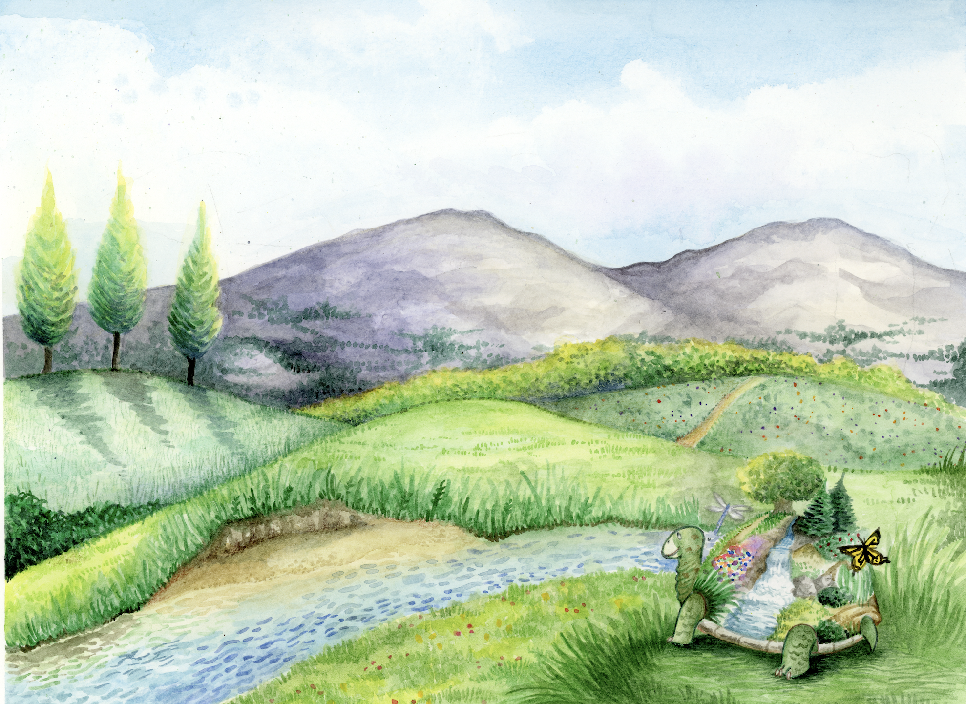 'The Turtle's Paradise'