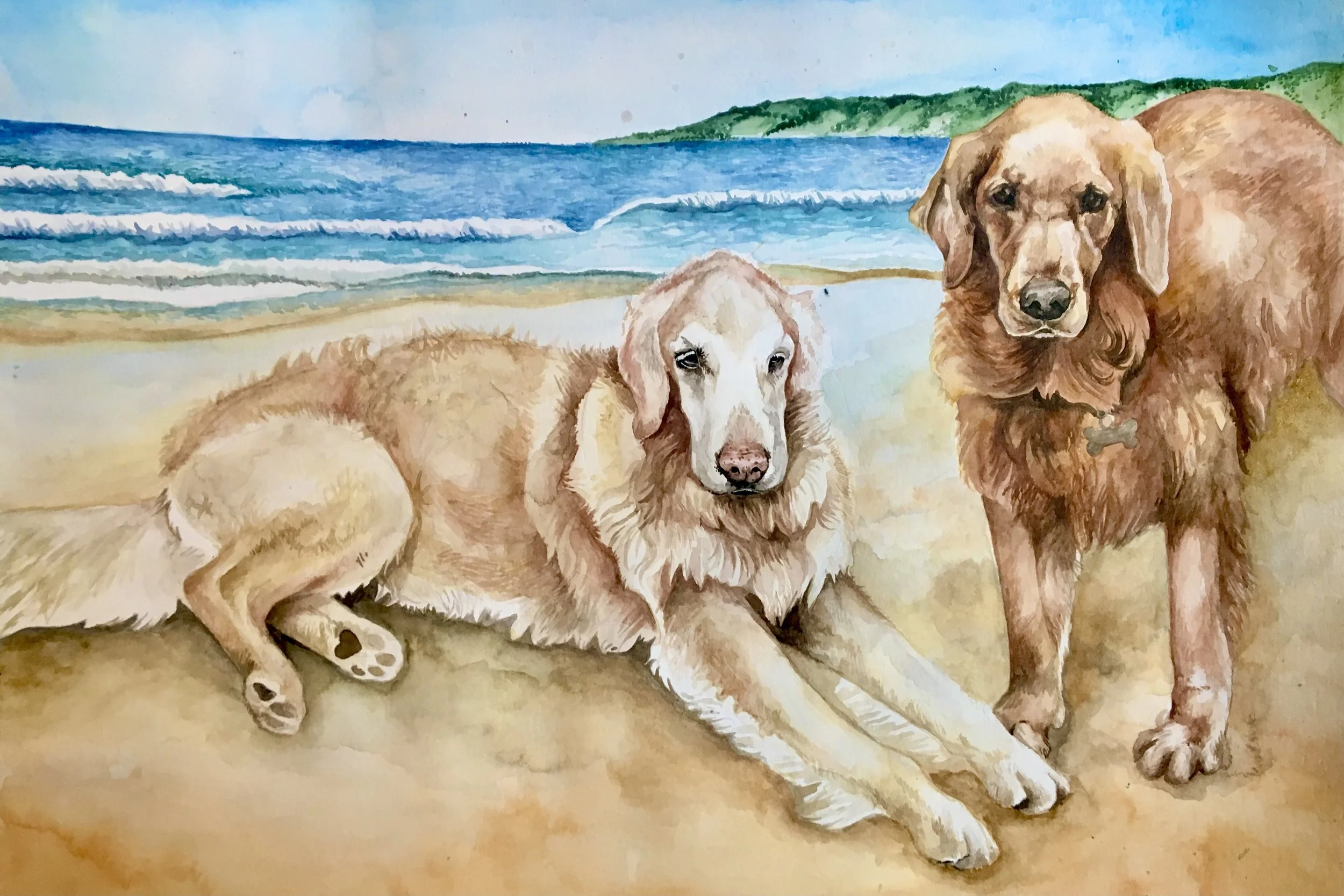 'Golden Duo', Watercolour on Paper