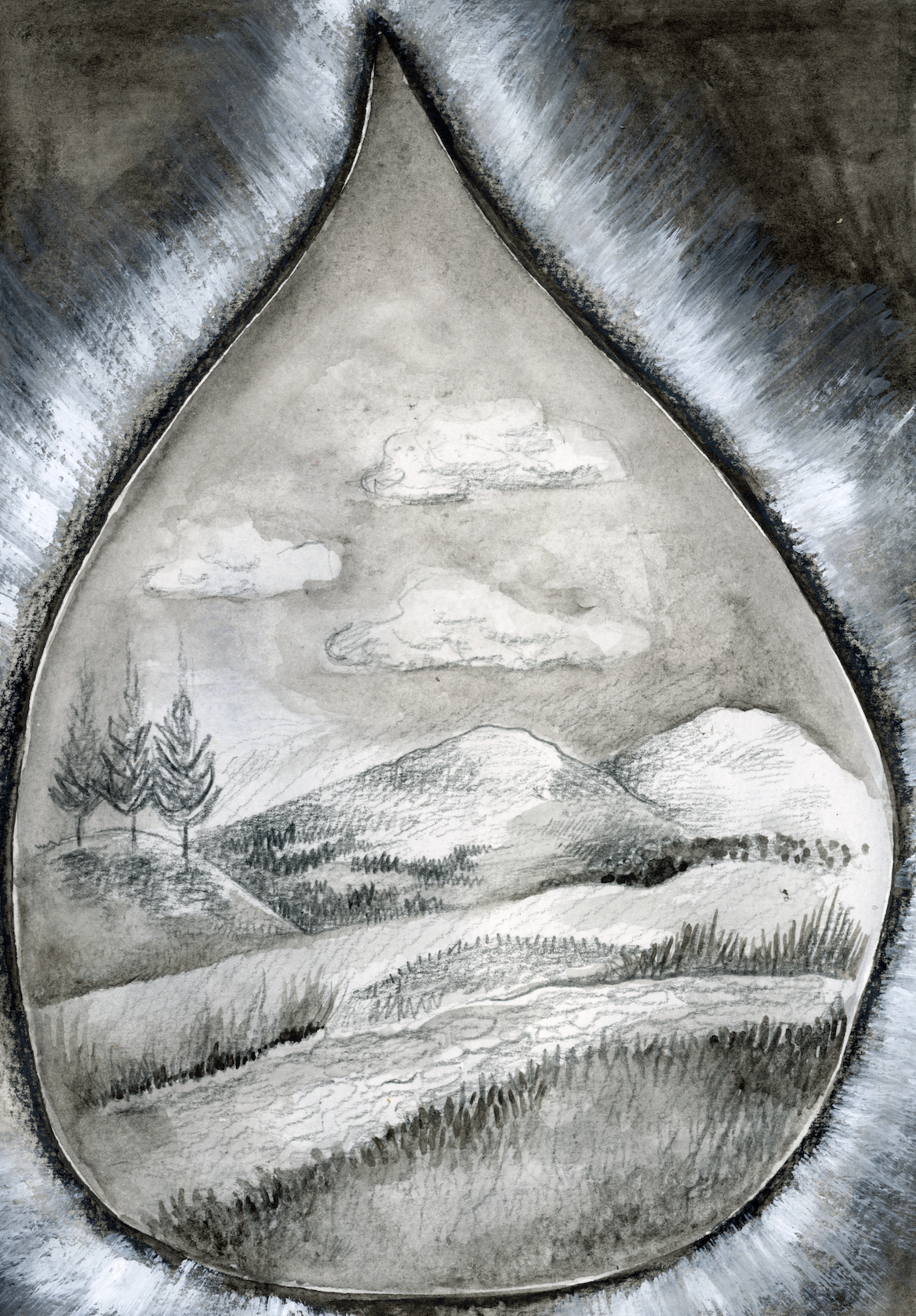 'The Turtle's Tear'