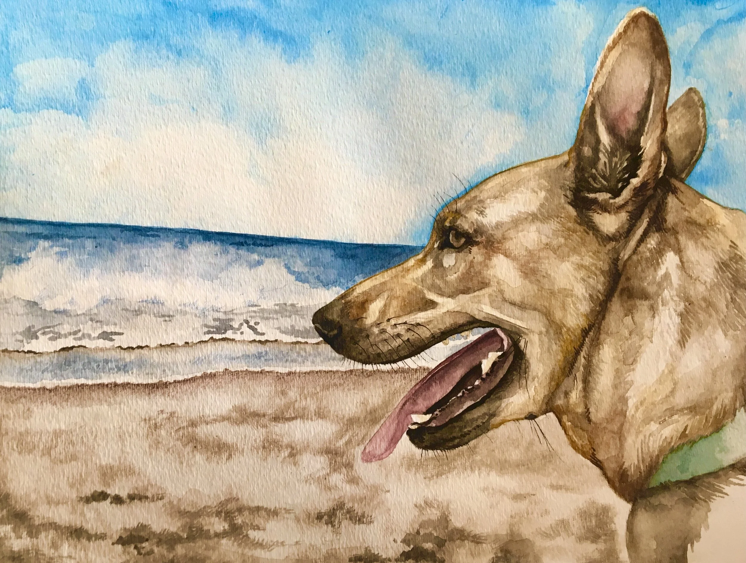 'Fawn', Watercolour on Paper