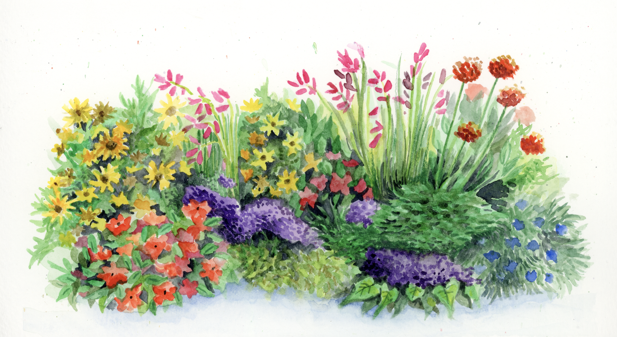 Floral Study