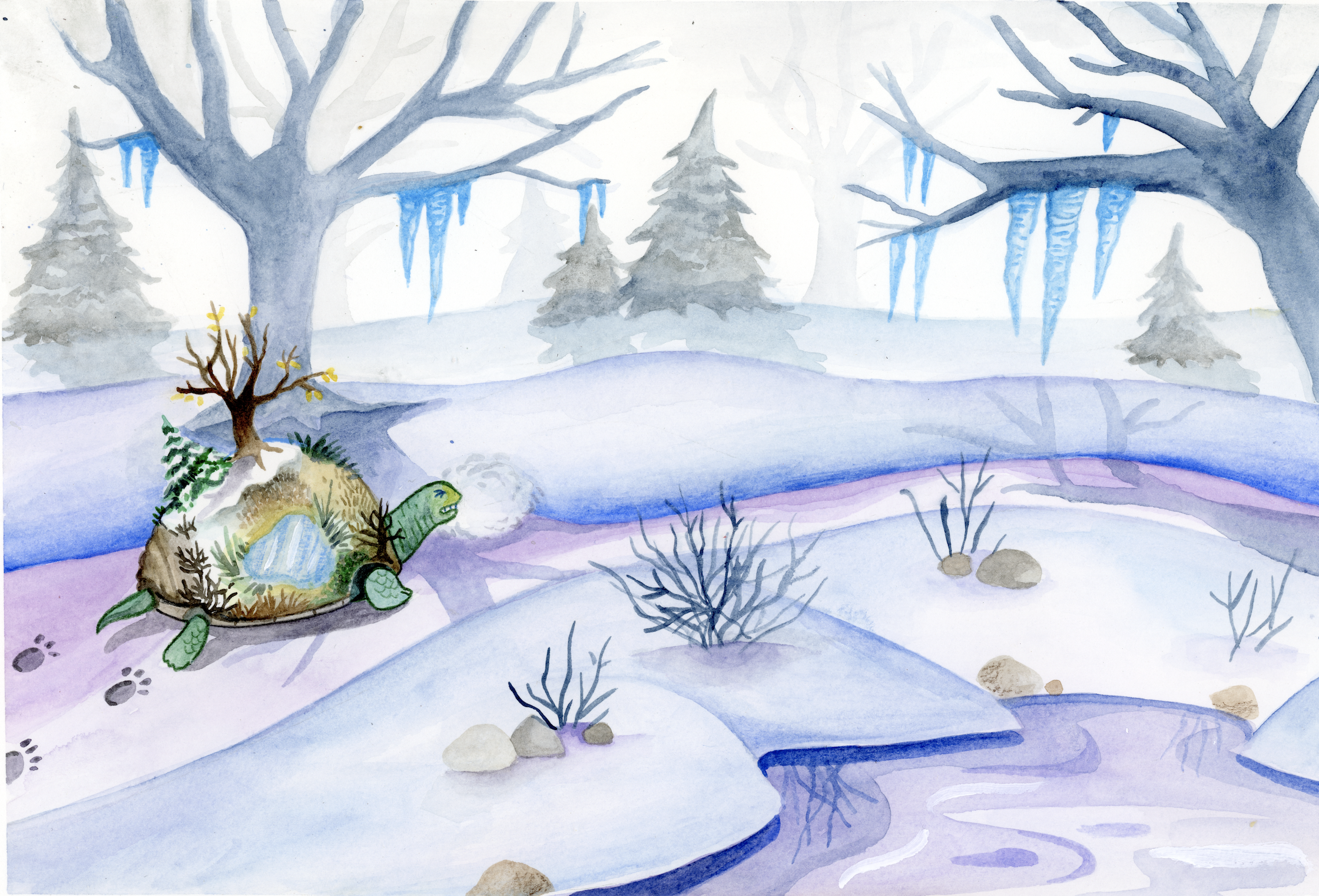 'Too Cold'