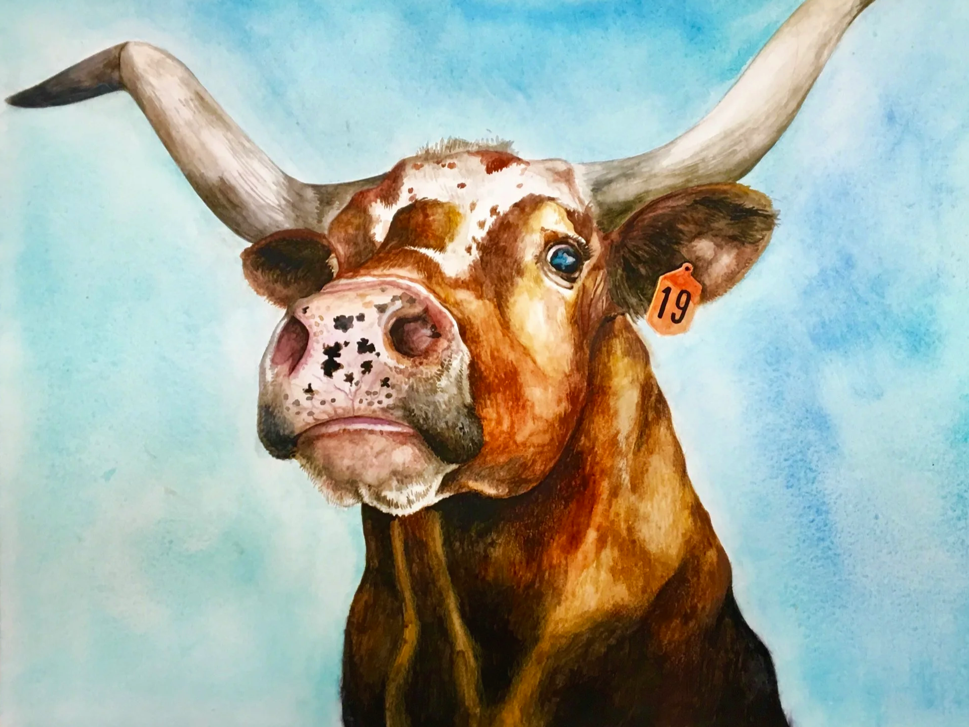 'Longhorn', Watercolour on Paper