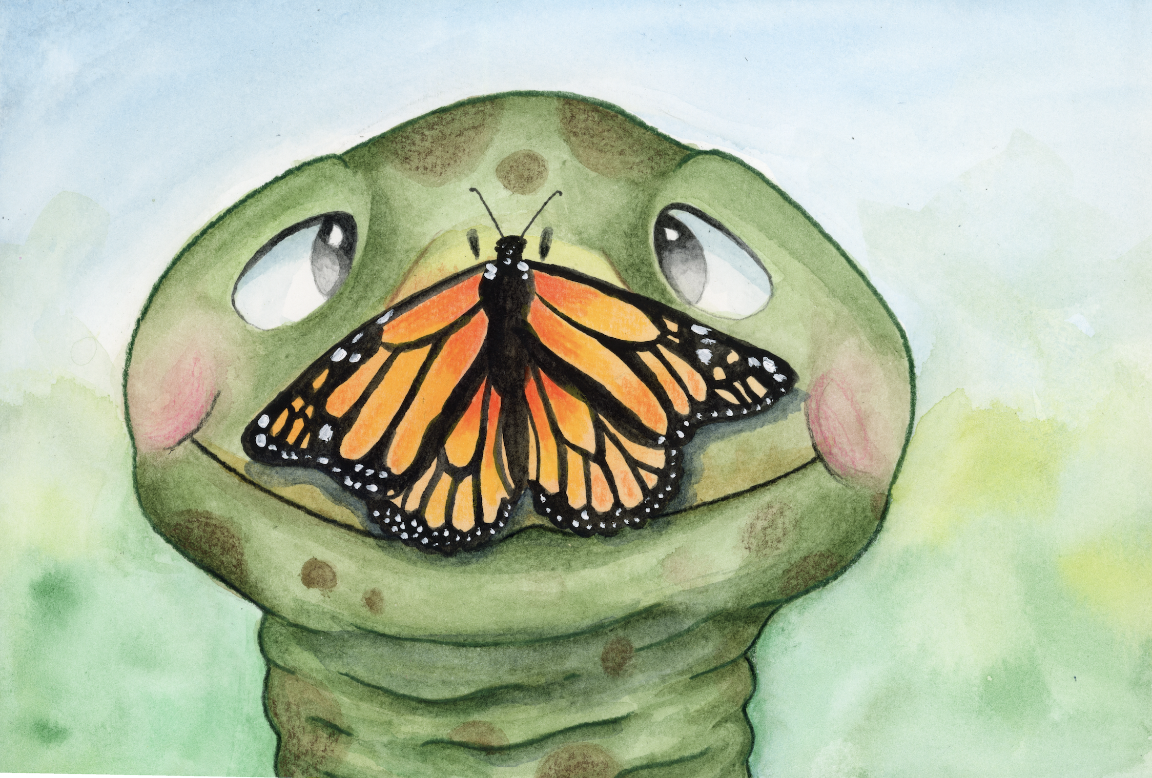 'The Turtle Meets the Butterfly'
